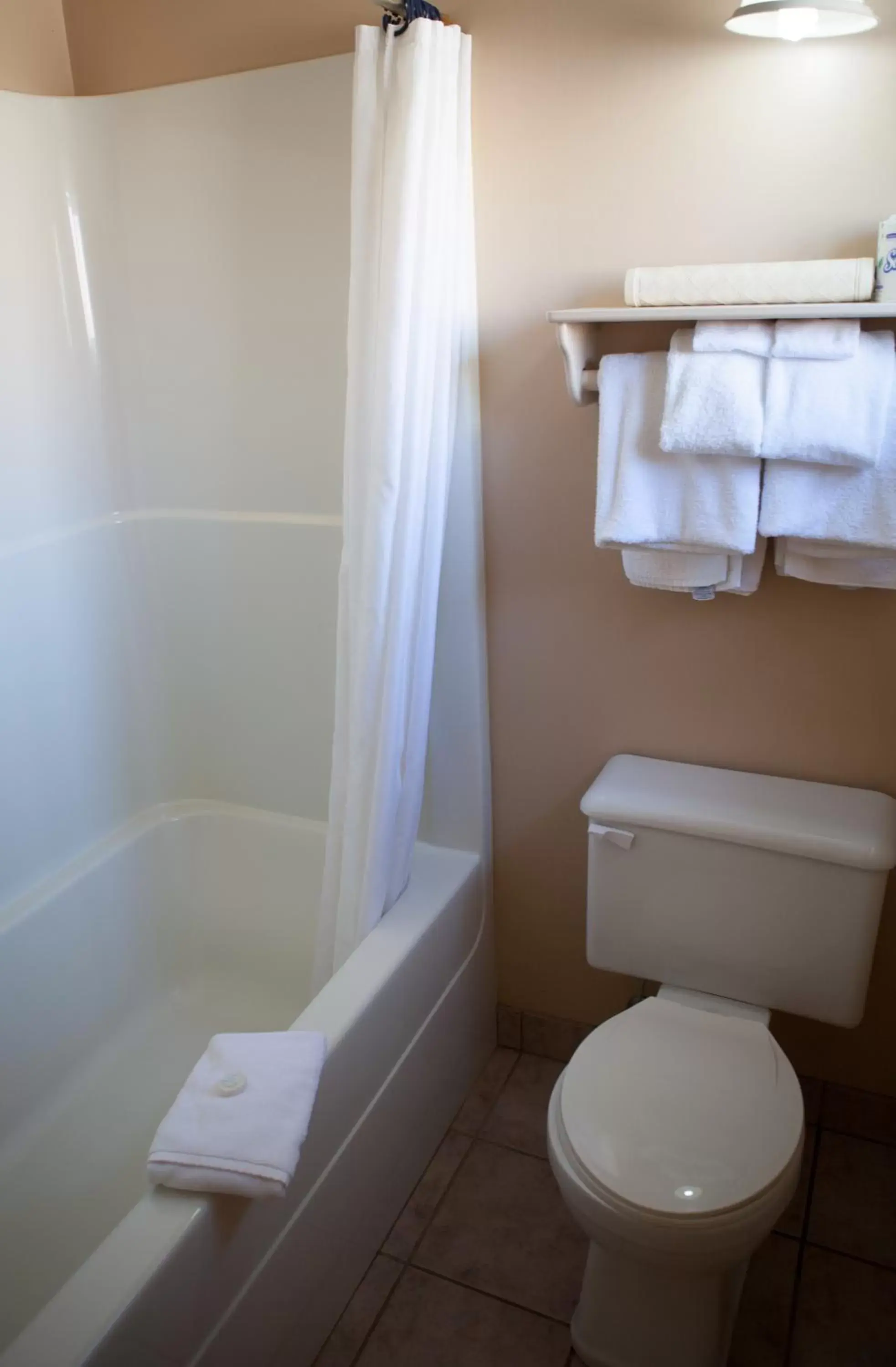 Bathroom in Revelstoke Lodge