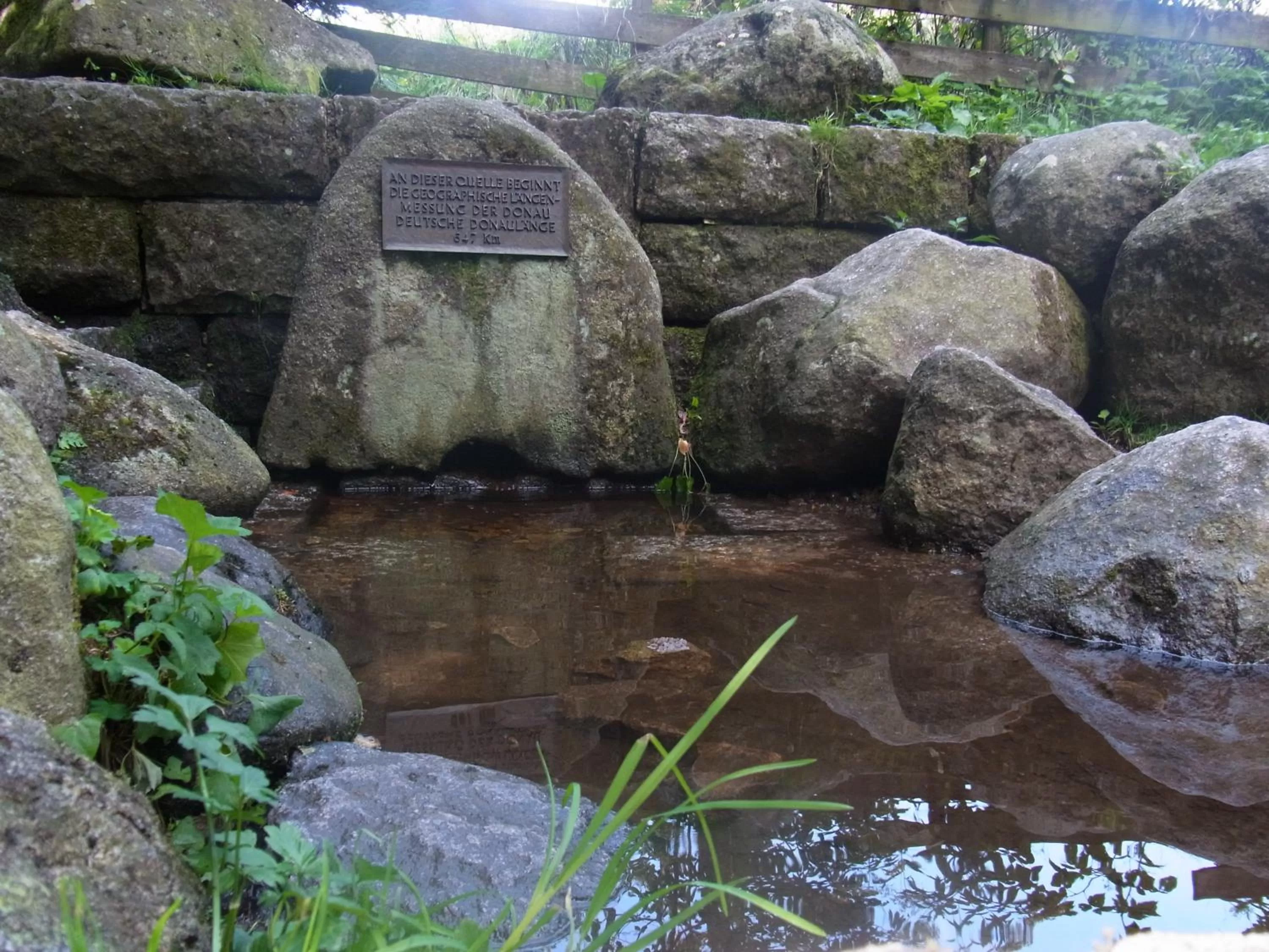 Nearby landmark in ZUR TRAUBE Schwarzwaldhotel & Restaurant am Titisee