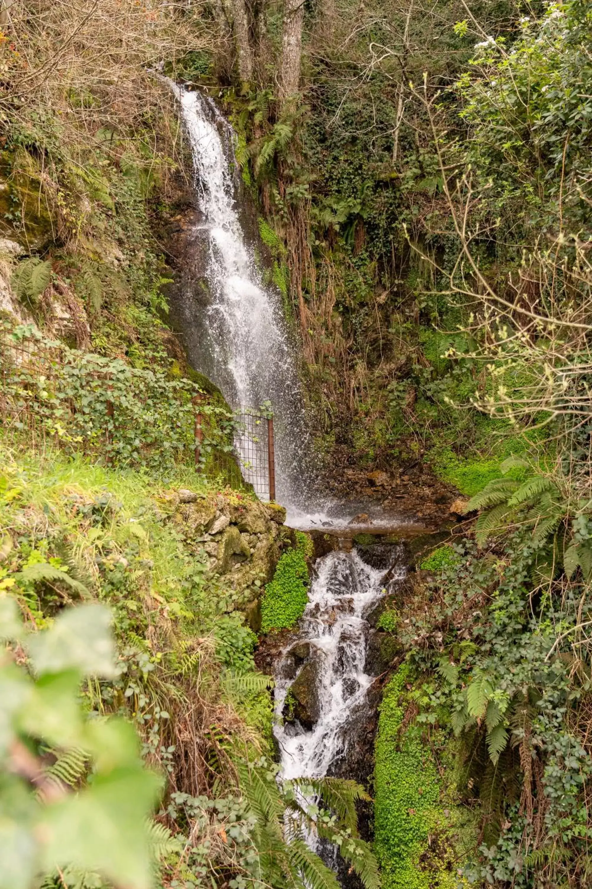 Off site, Natural Landscape in Casas Da Lapa, Nature & Spa Hotel