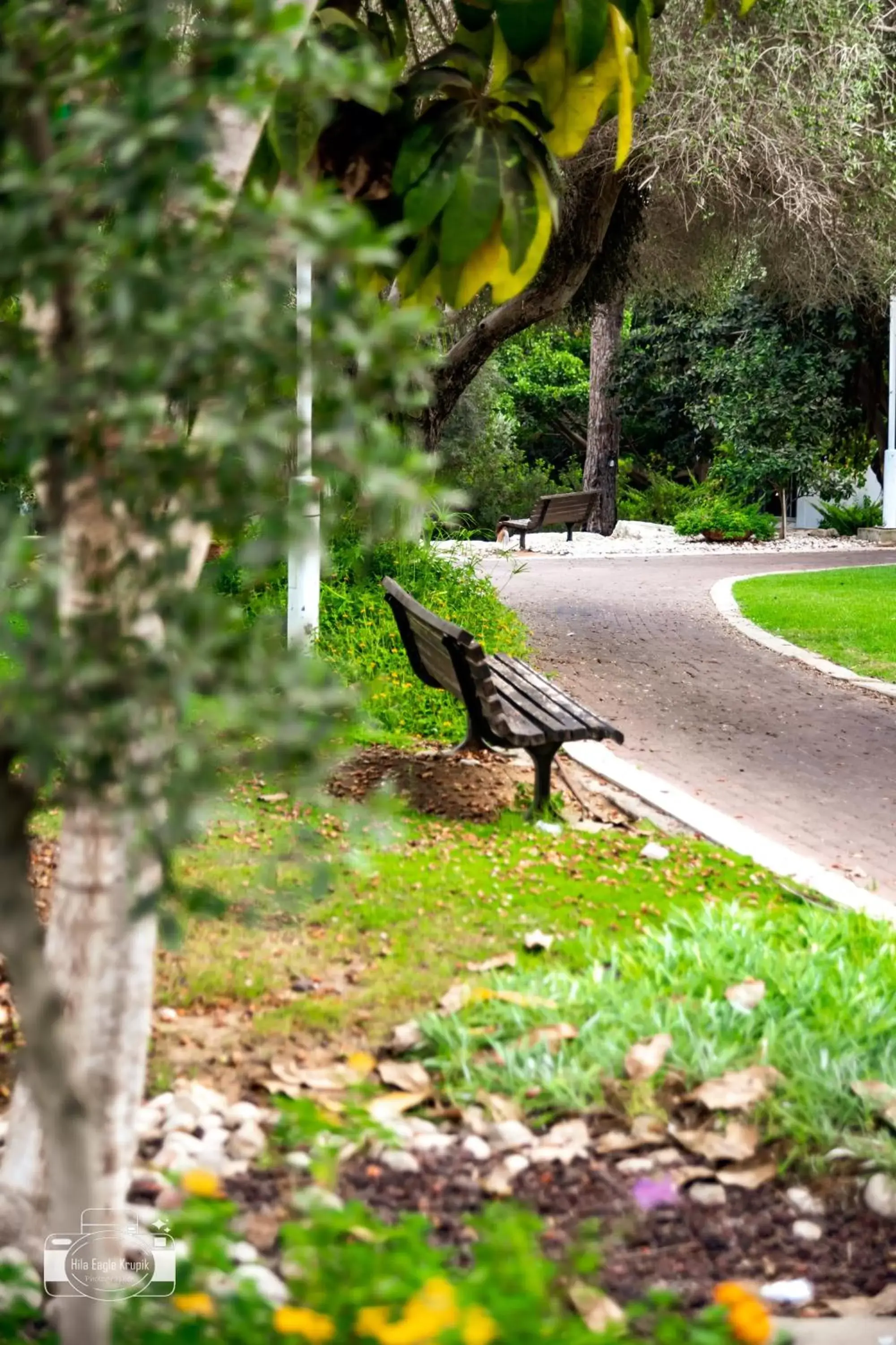 Garden, Other Animals in Eden Inn