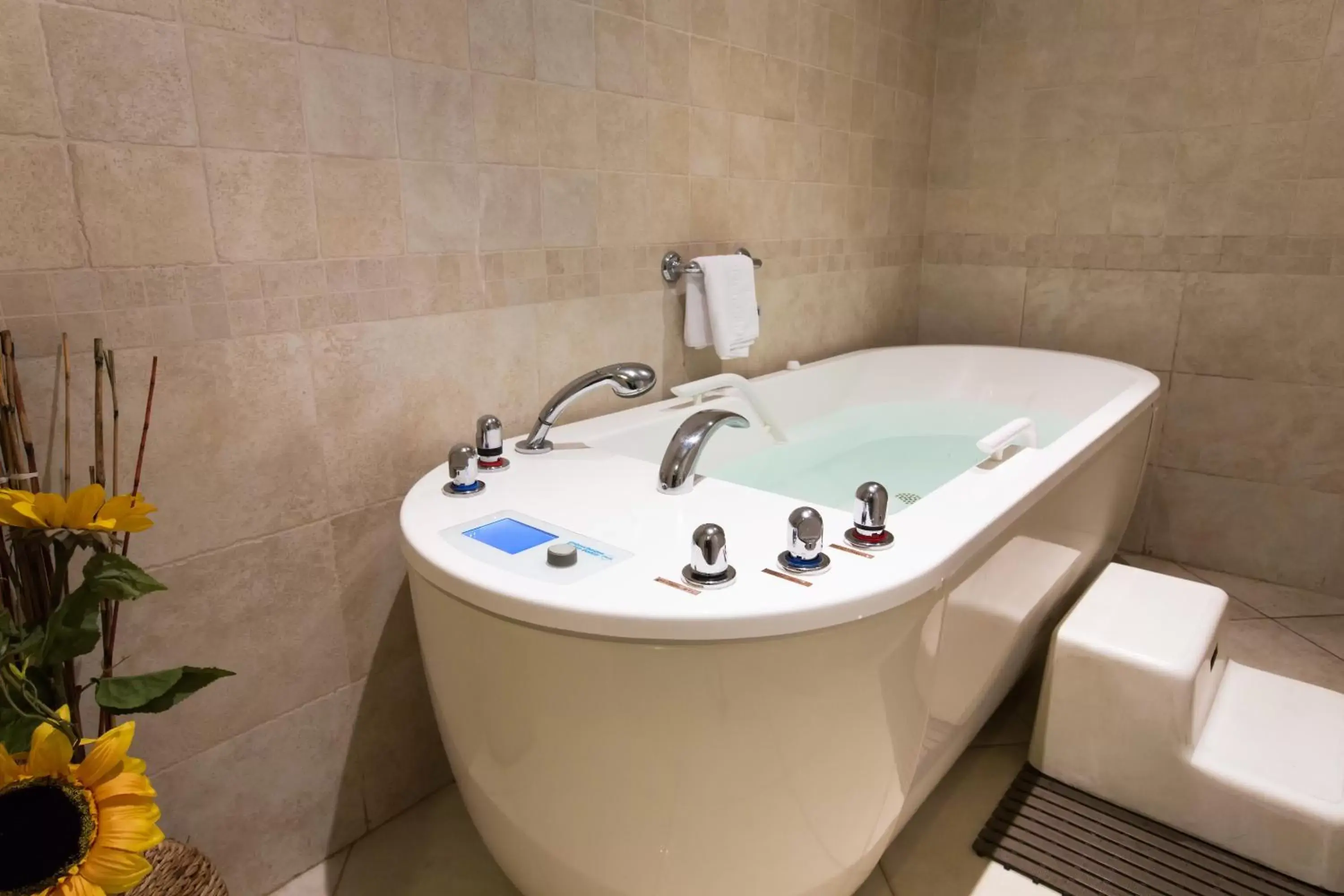 Hot Tub, Bathroom in Hotel *** & Spa Vacances Bleues Villa Marlioz