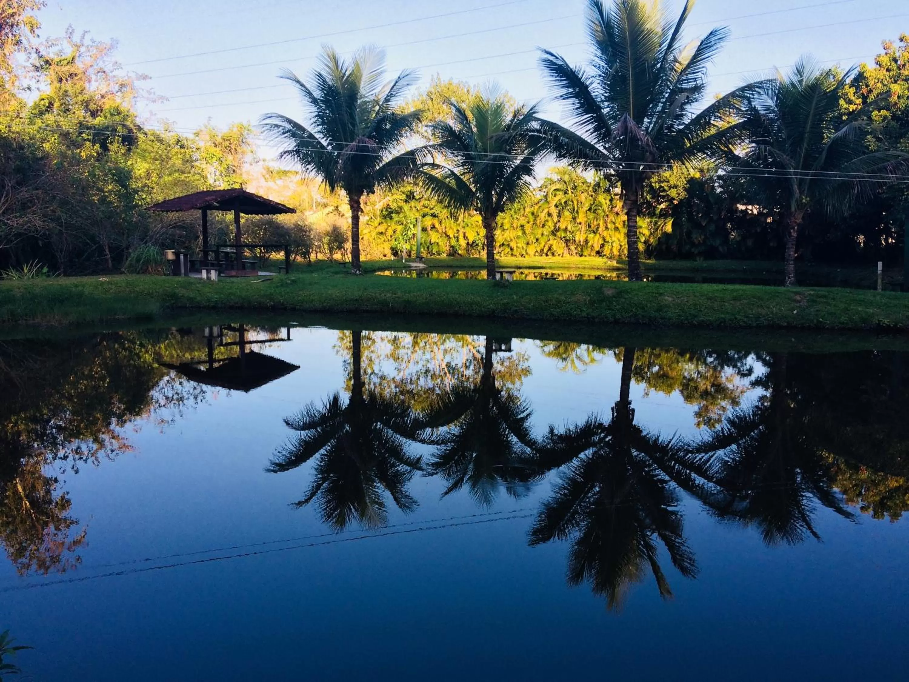 Lake view in Hotel Bosques do Massaguaçu