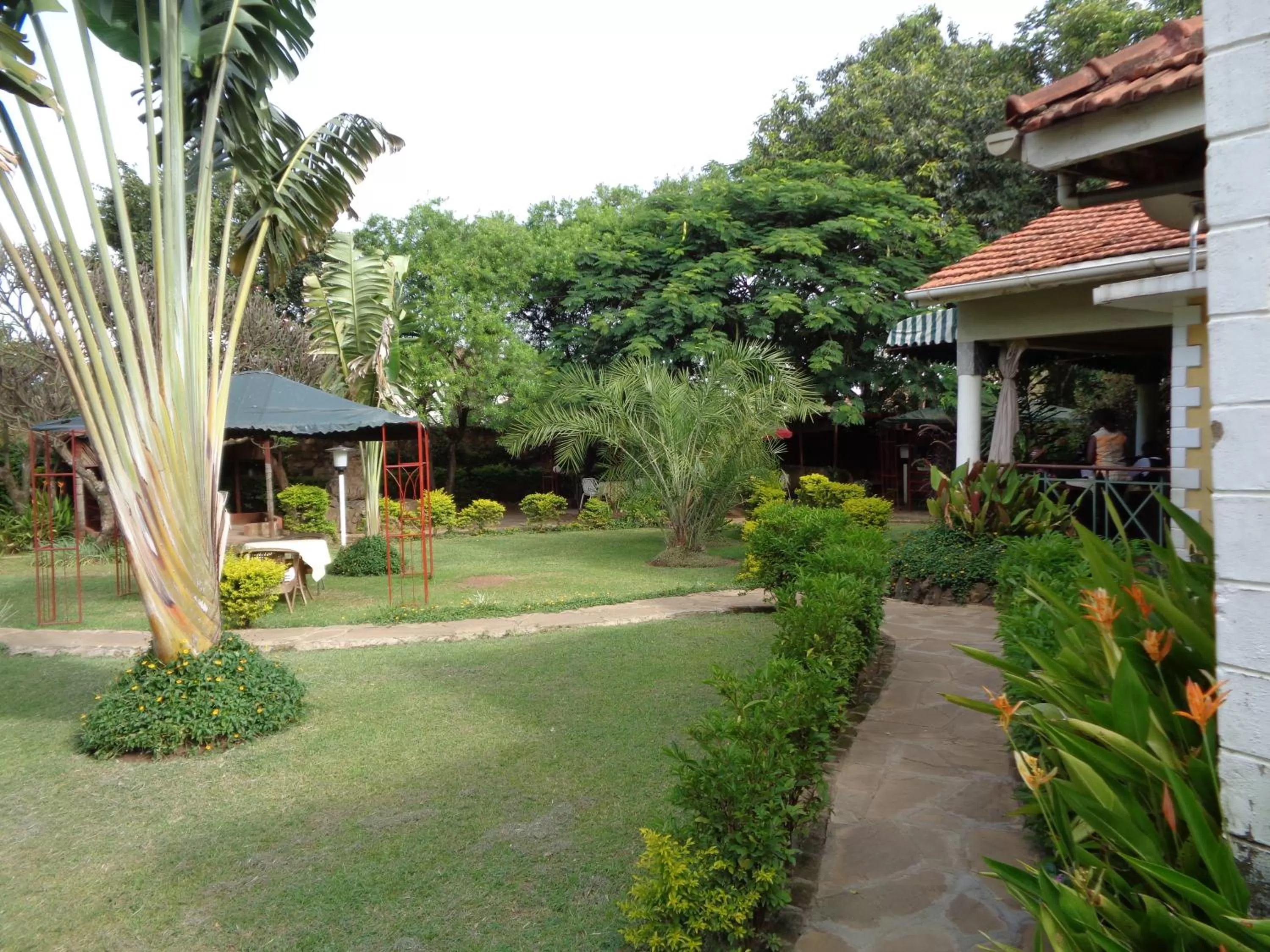 Garden in The Clarice House