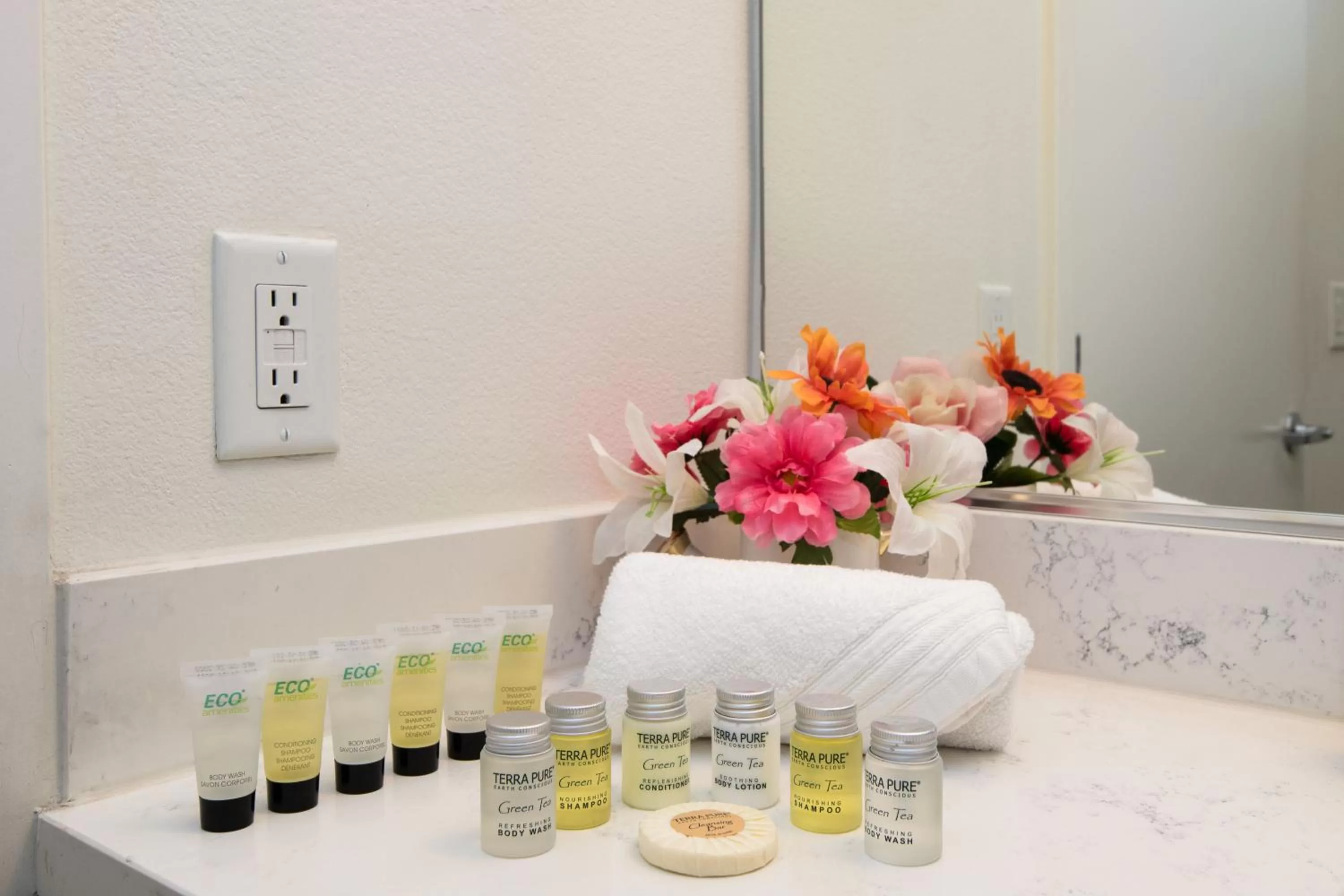 Modern Apartment Rentals