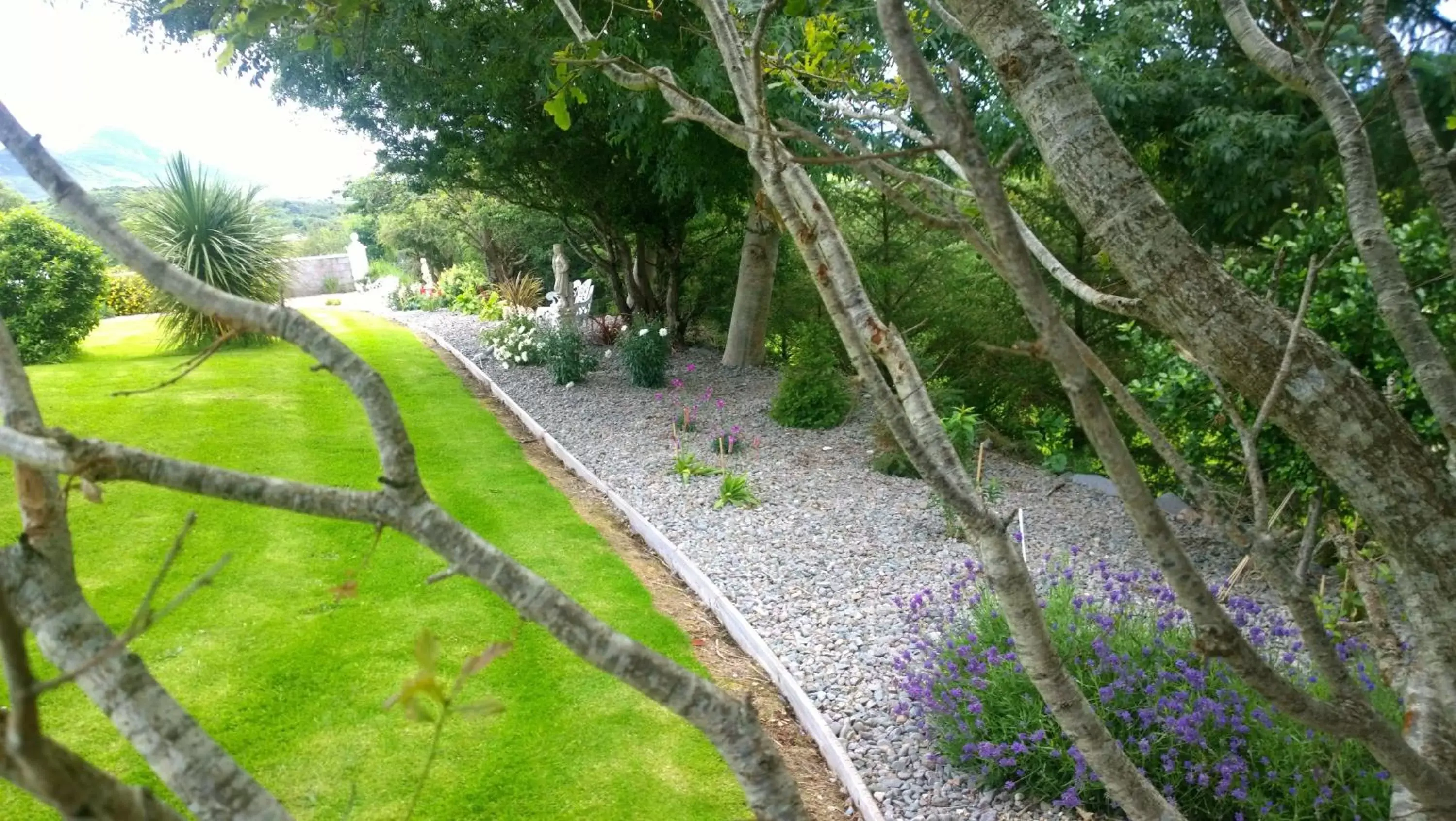 Garden view in Carrabaun House