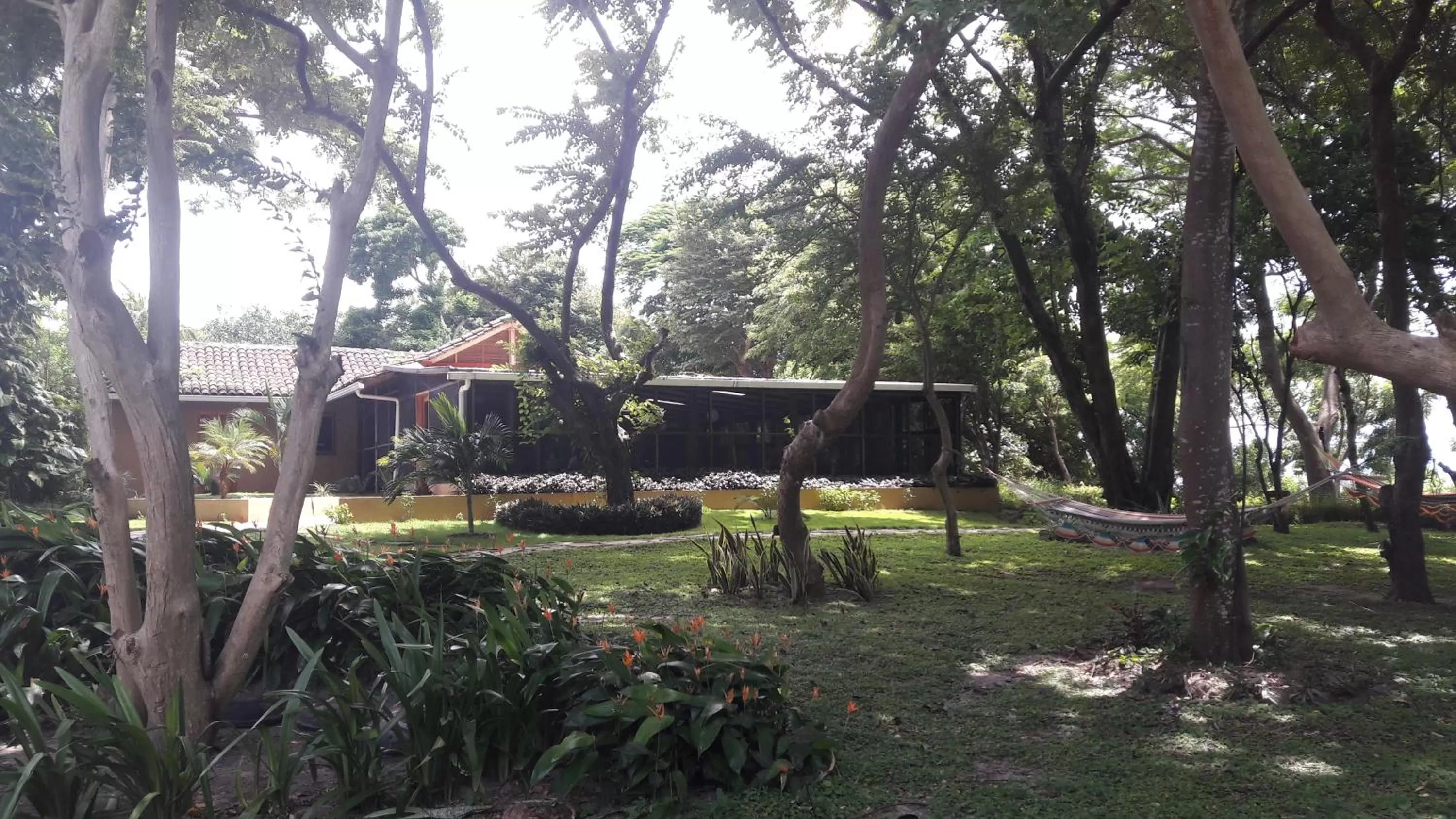 Restaurant/places to eat in Xalli Beach Hotel