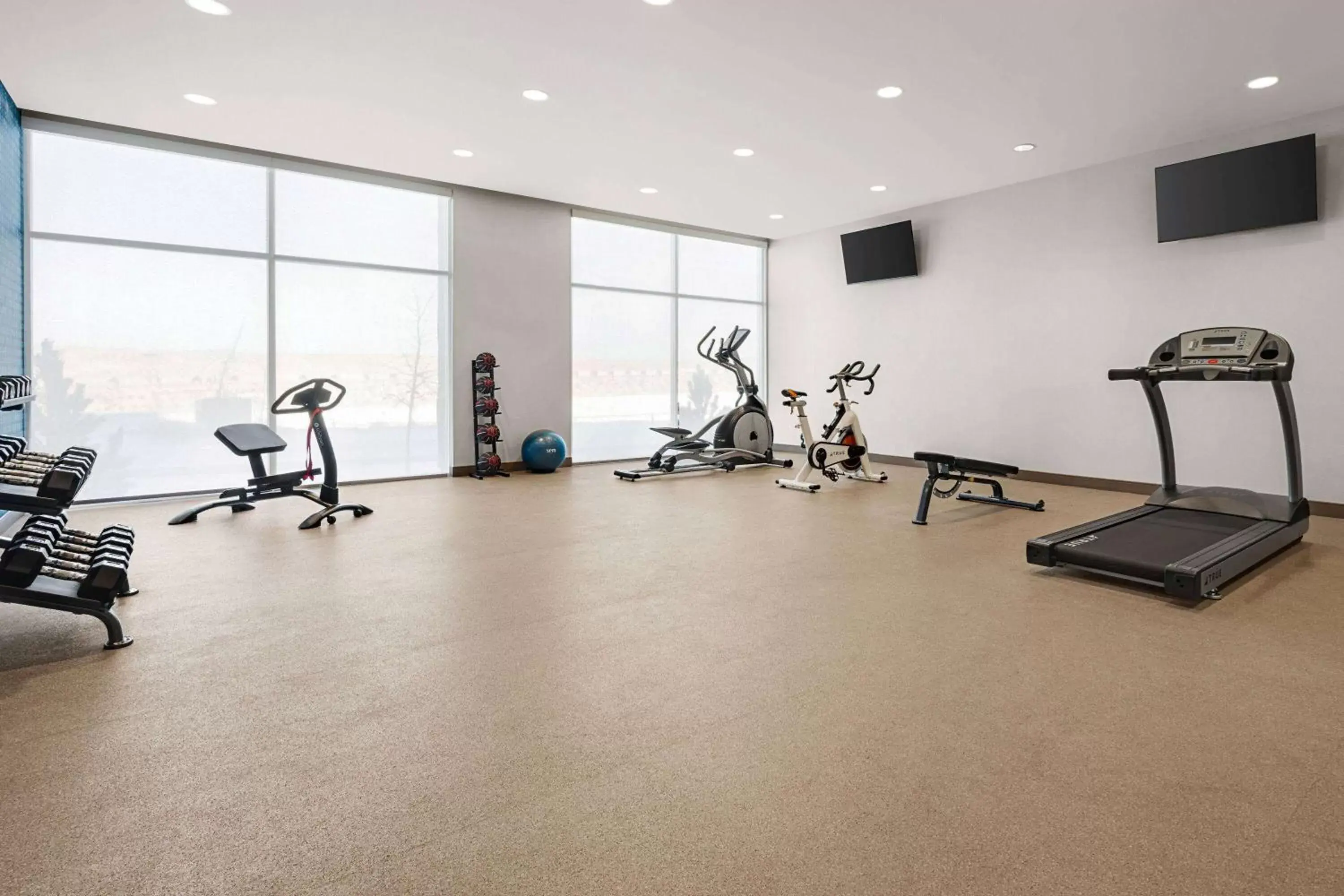 Fitness centre/facilities, Fitness Center/Facilities in La Quinta Inn & Suites by Wyndham Denver Parker