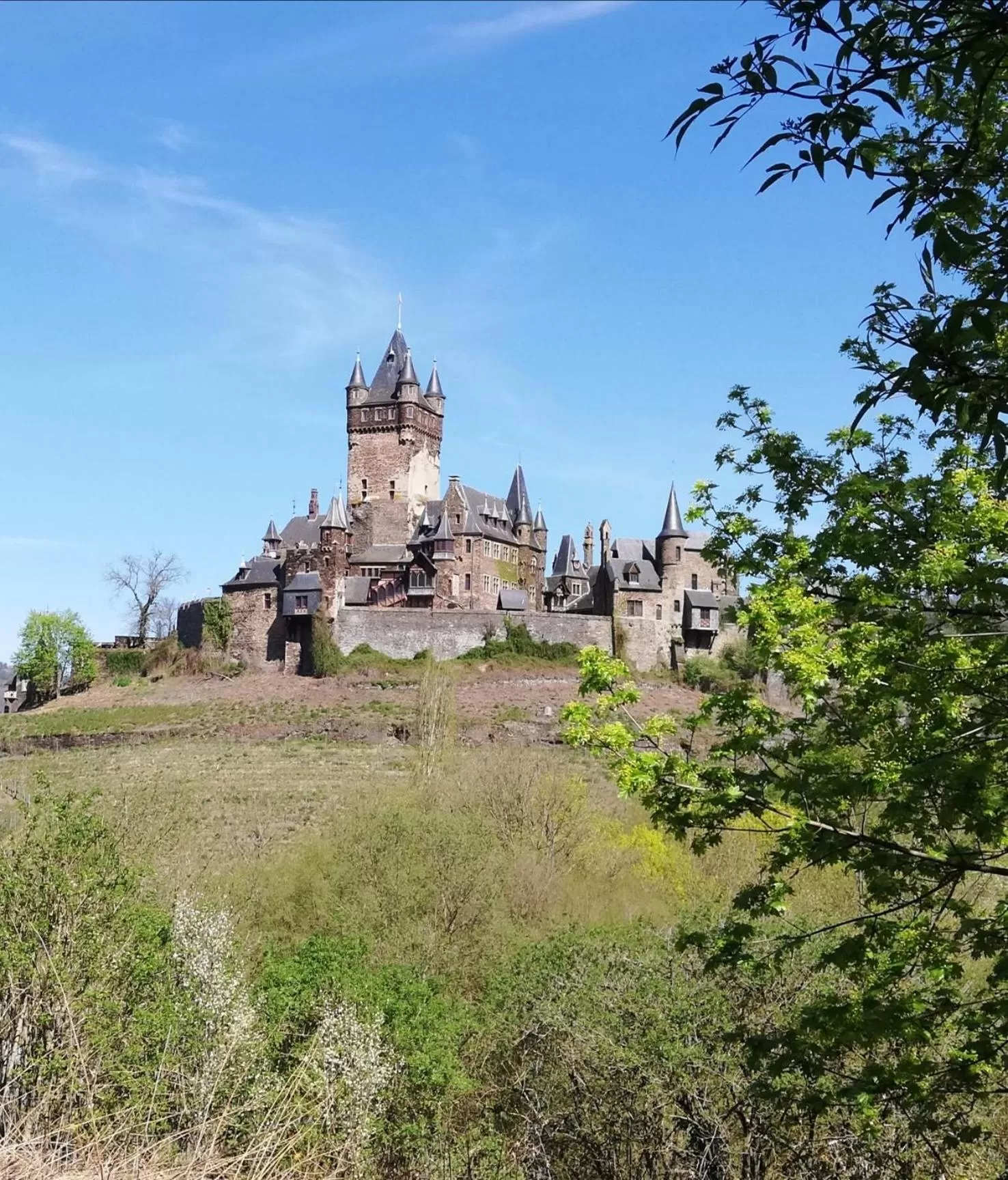 On site in Moselromantik Hotel Am Panoramabogen