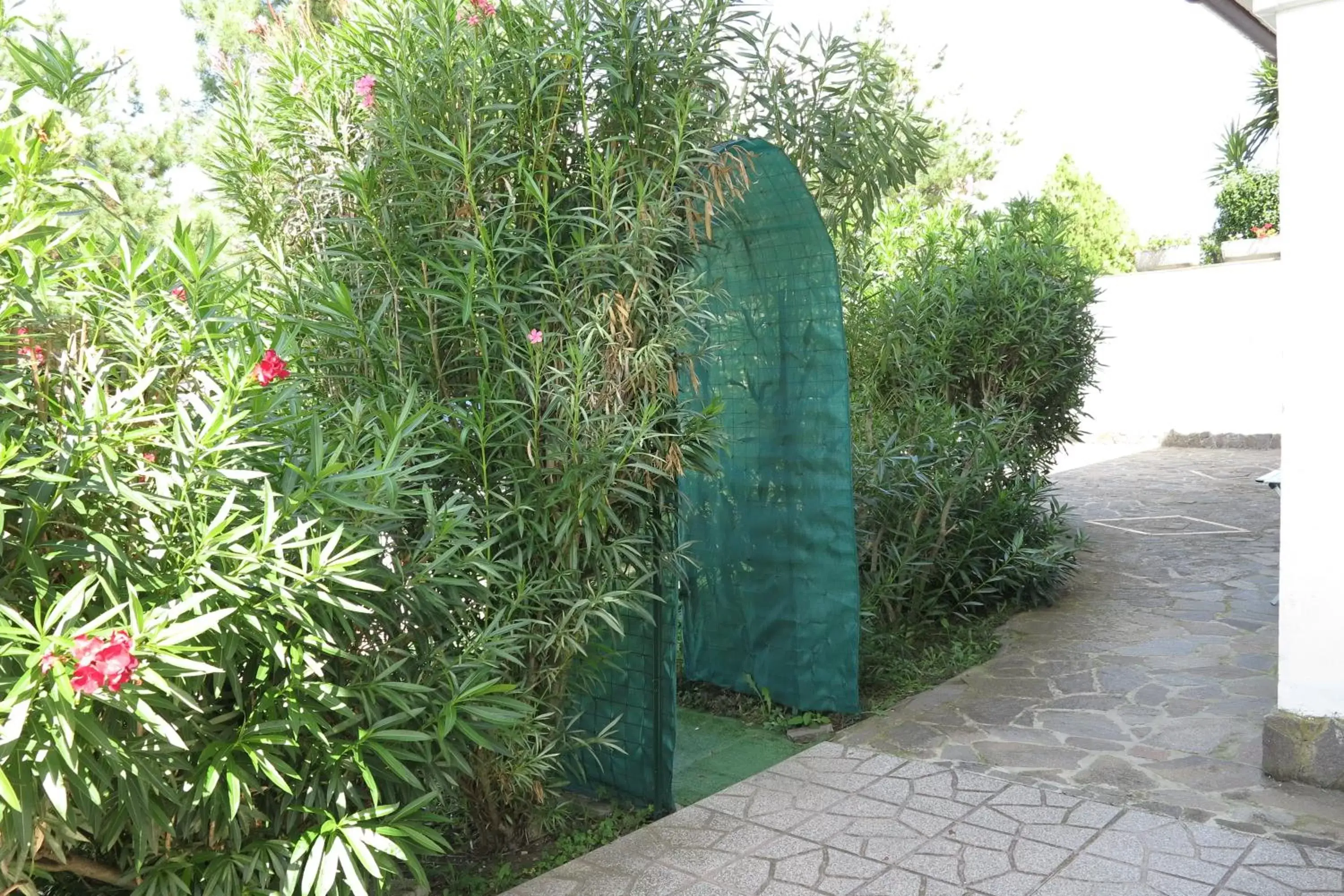 Facade/entrance, Garden in BiancoCancello