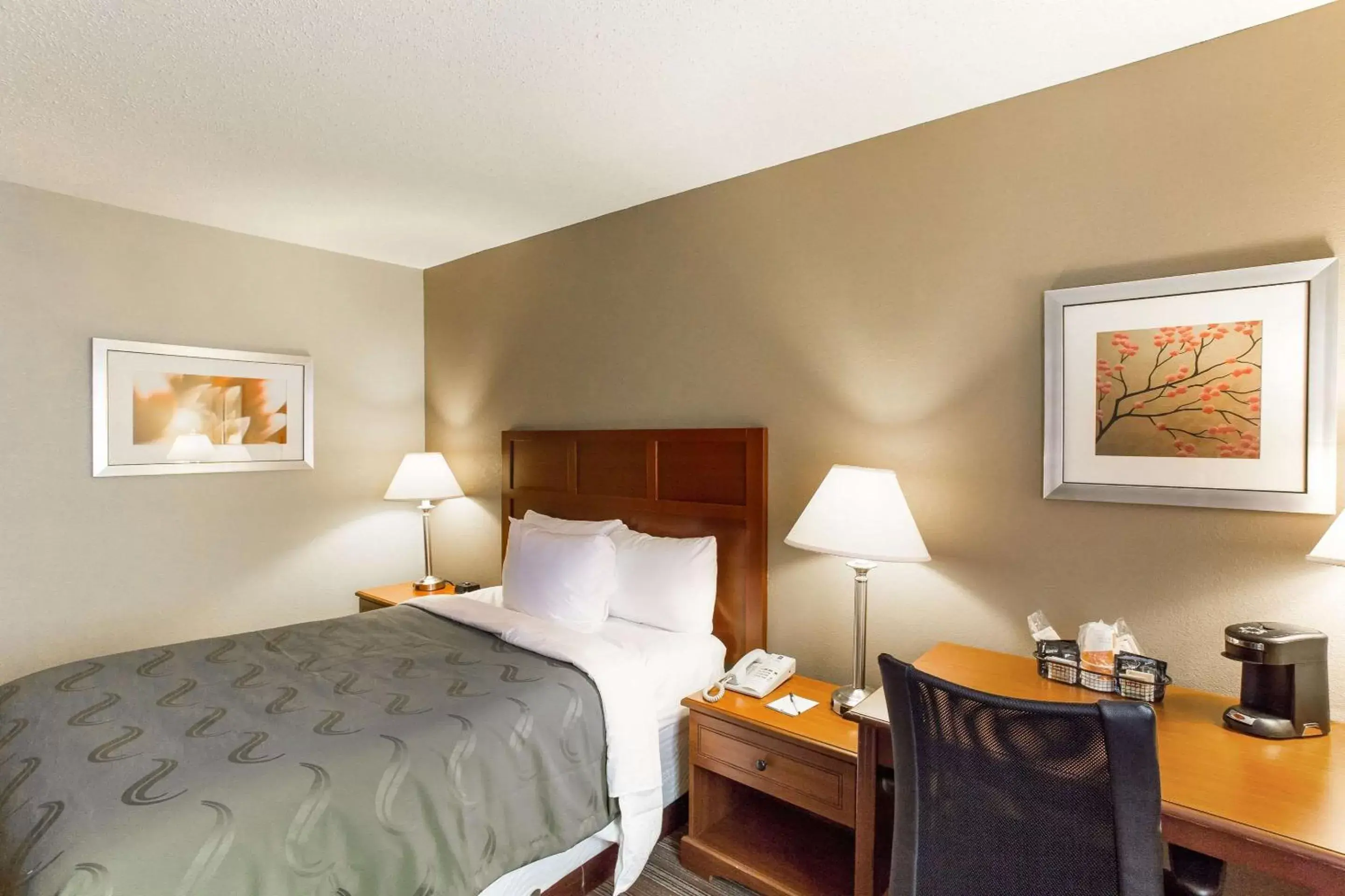 Photo of the whole room, Bed in Quality Inn Photo of the whole room, Bed in Quality Inn