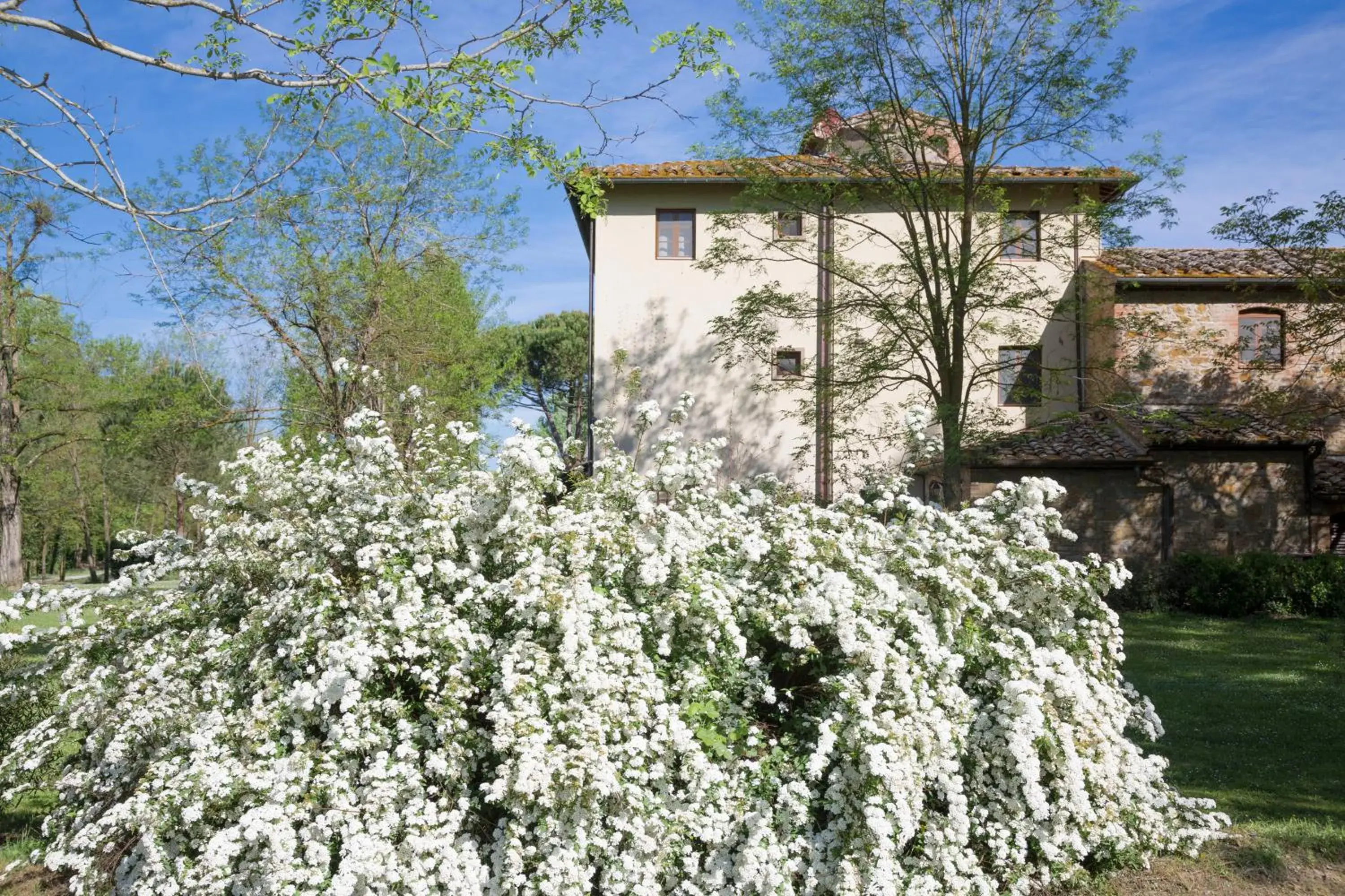 Natural landscape, Property Building in Borgo San Benedetto