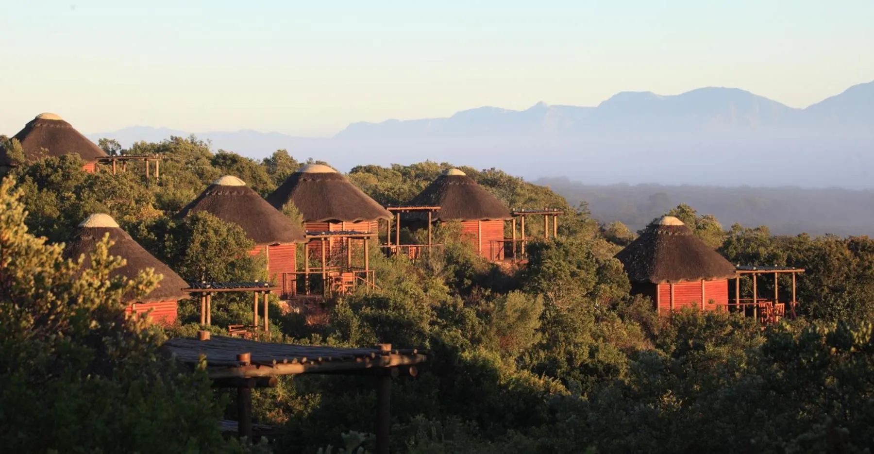 Natural landscape in Garden Route Game Lodge