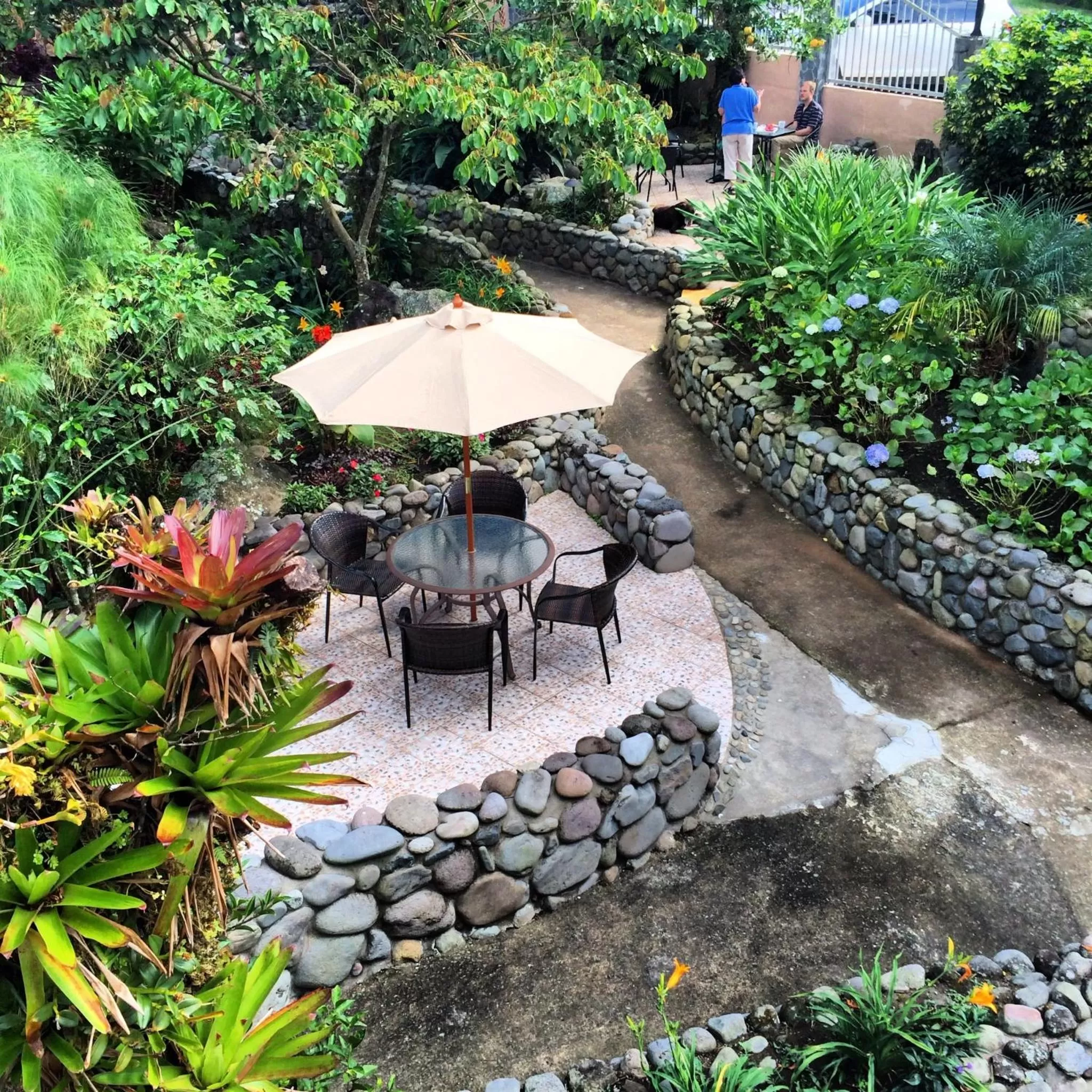 Garden in The Inn at Palo Alto