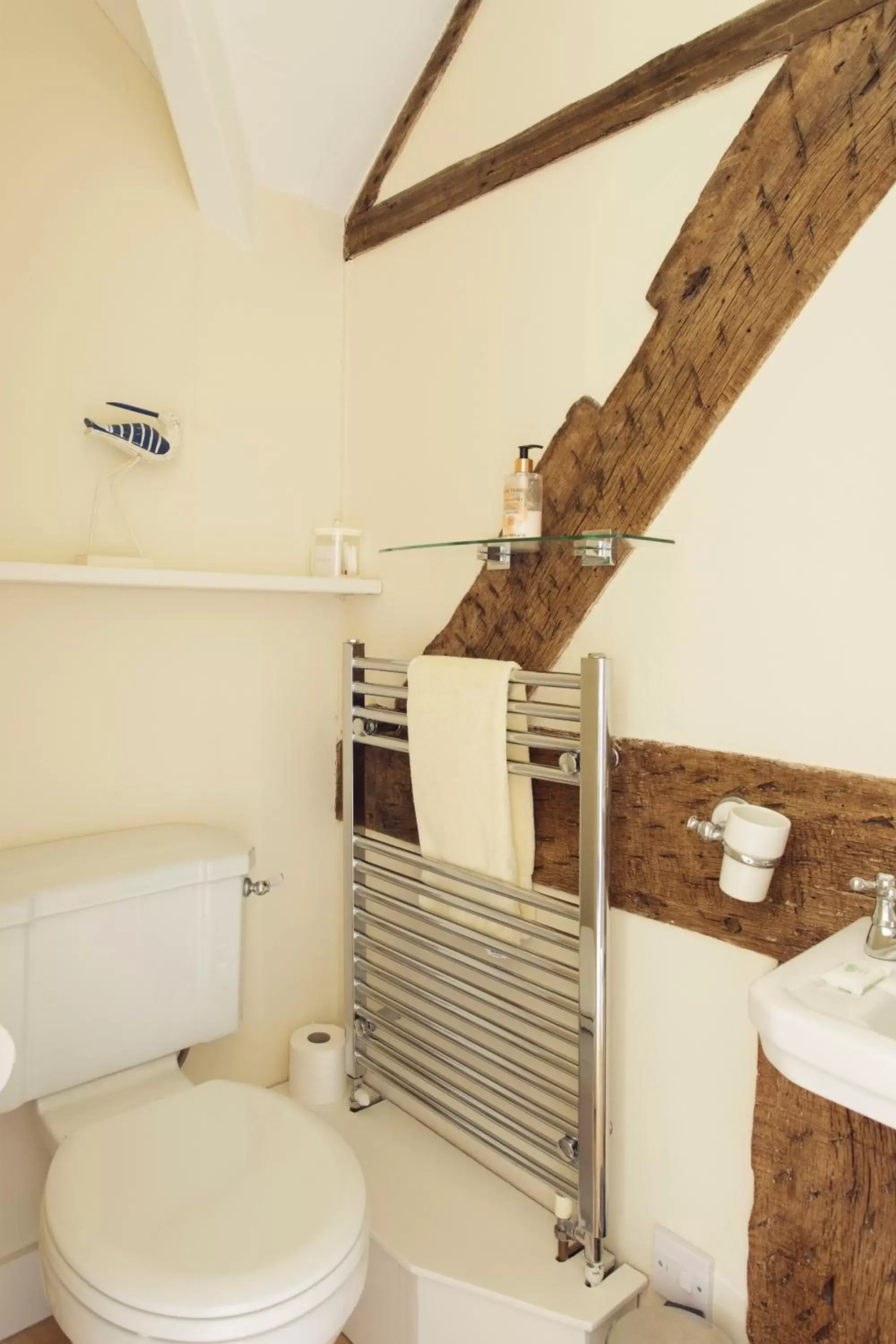 Bathroom in Church Farm B&B near Telford and Ironbridge