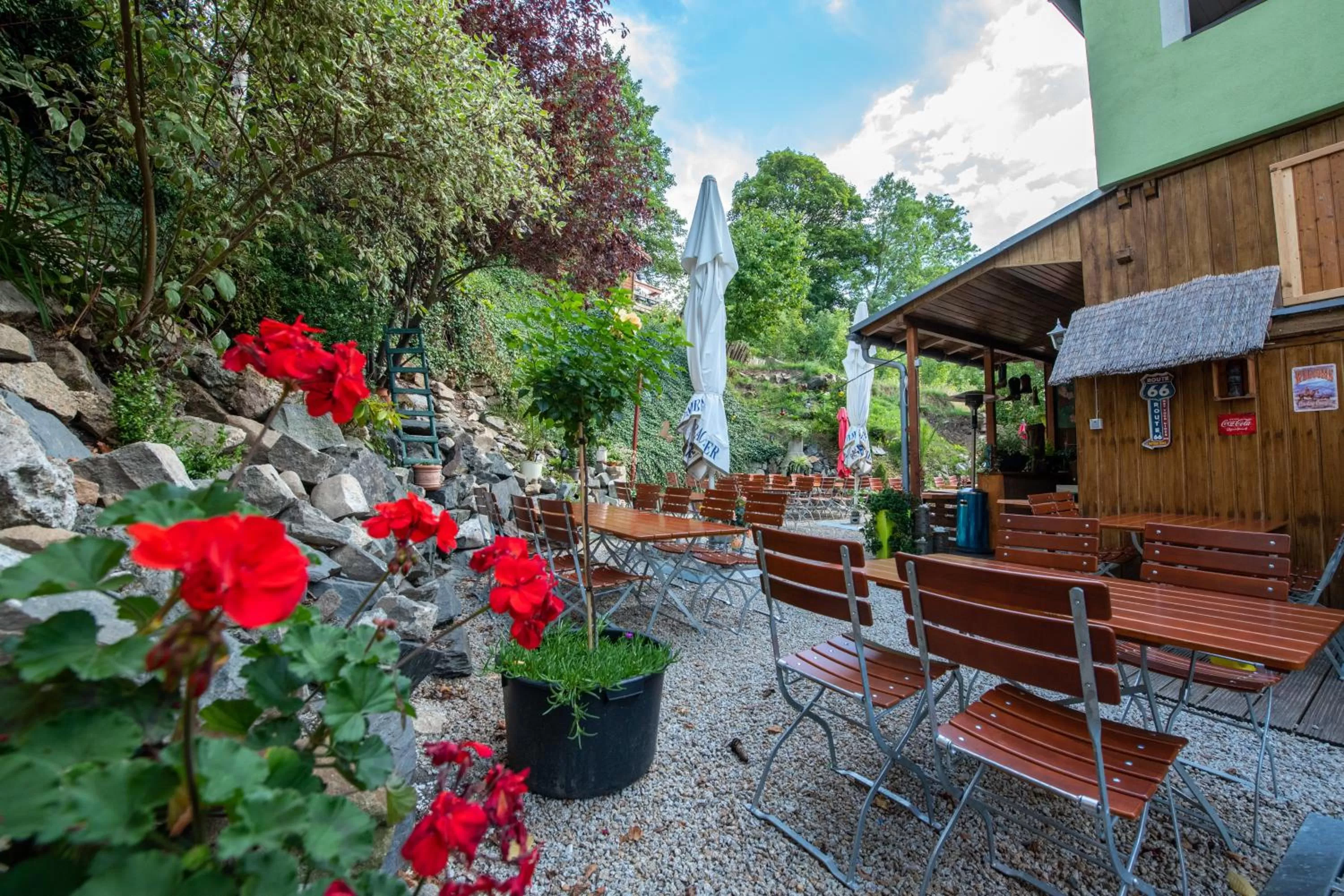 Garden in Wild West Hotel
