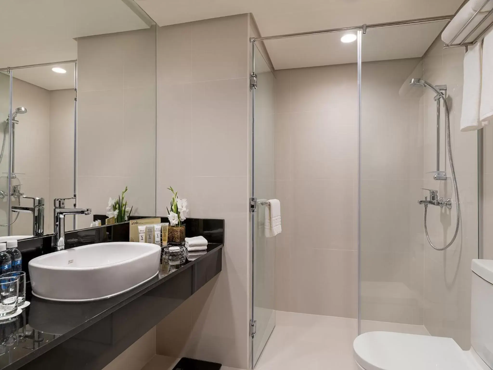 Shower, Bathroom in Seda Atria