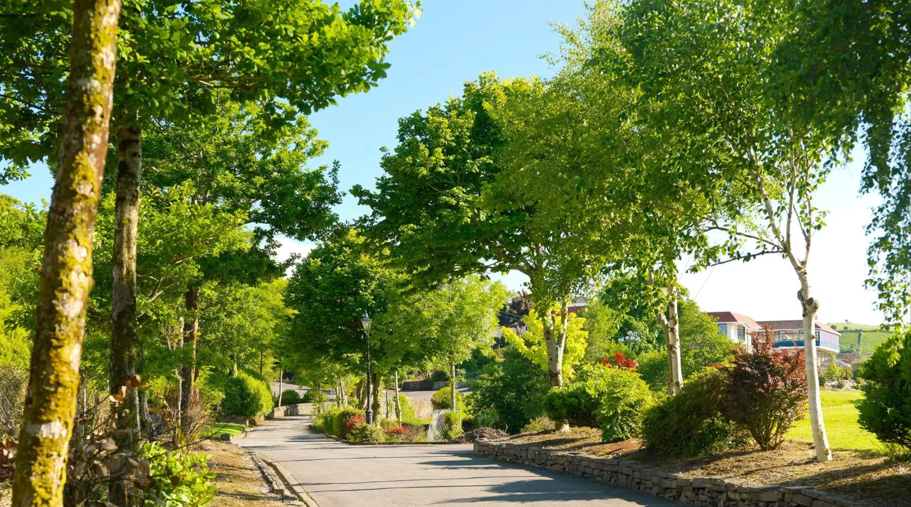 Natural landscape in Westlodge Hotel & Leisure Centre