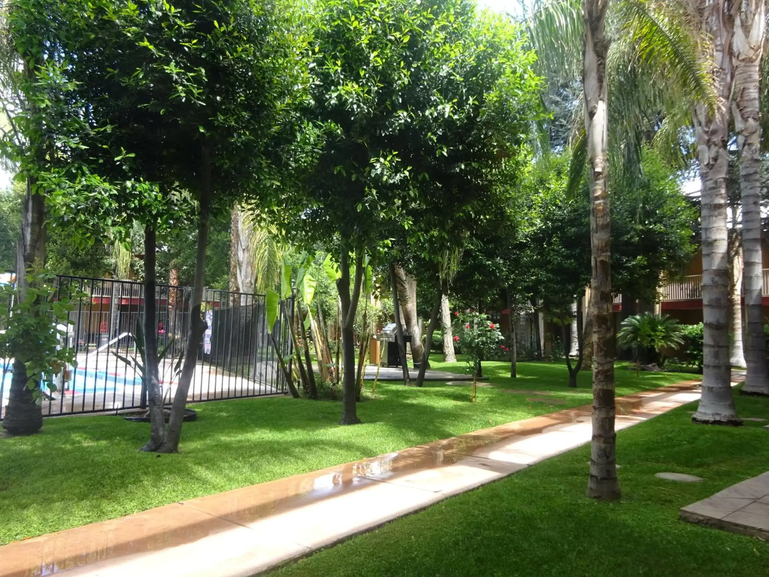 Garden in Duniya Hotel