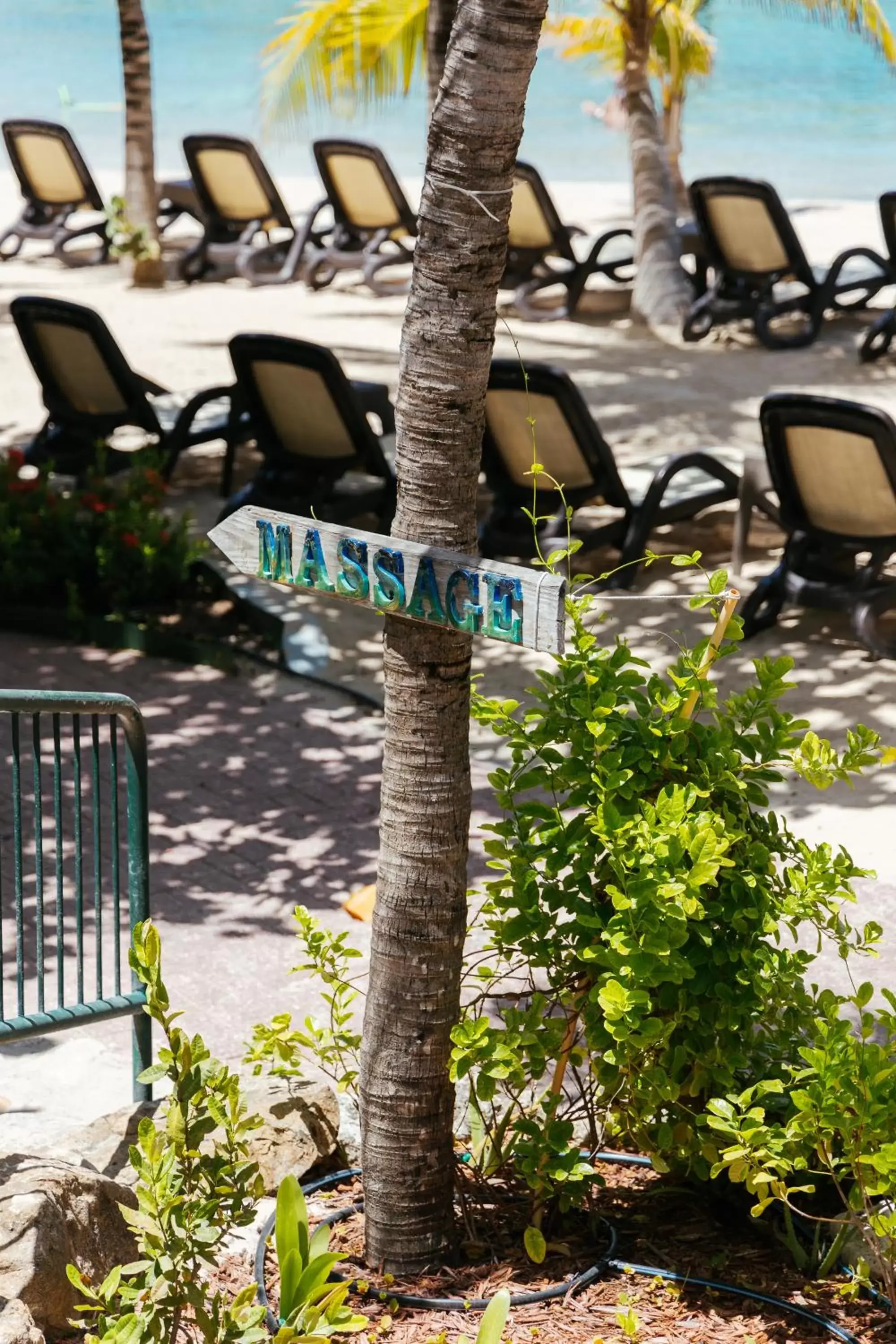 Garden in The Royal Sea Aquarium Resort