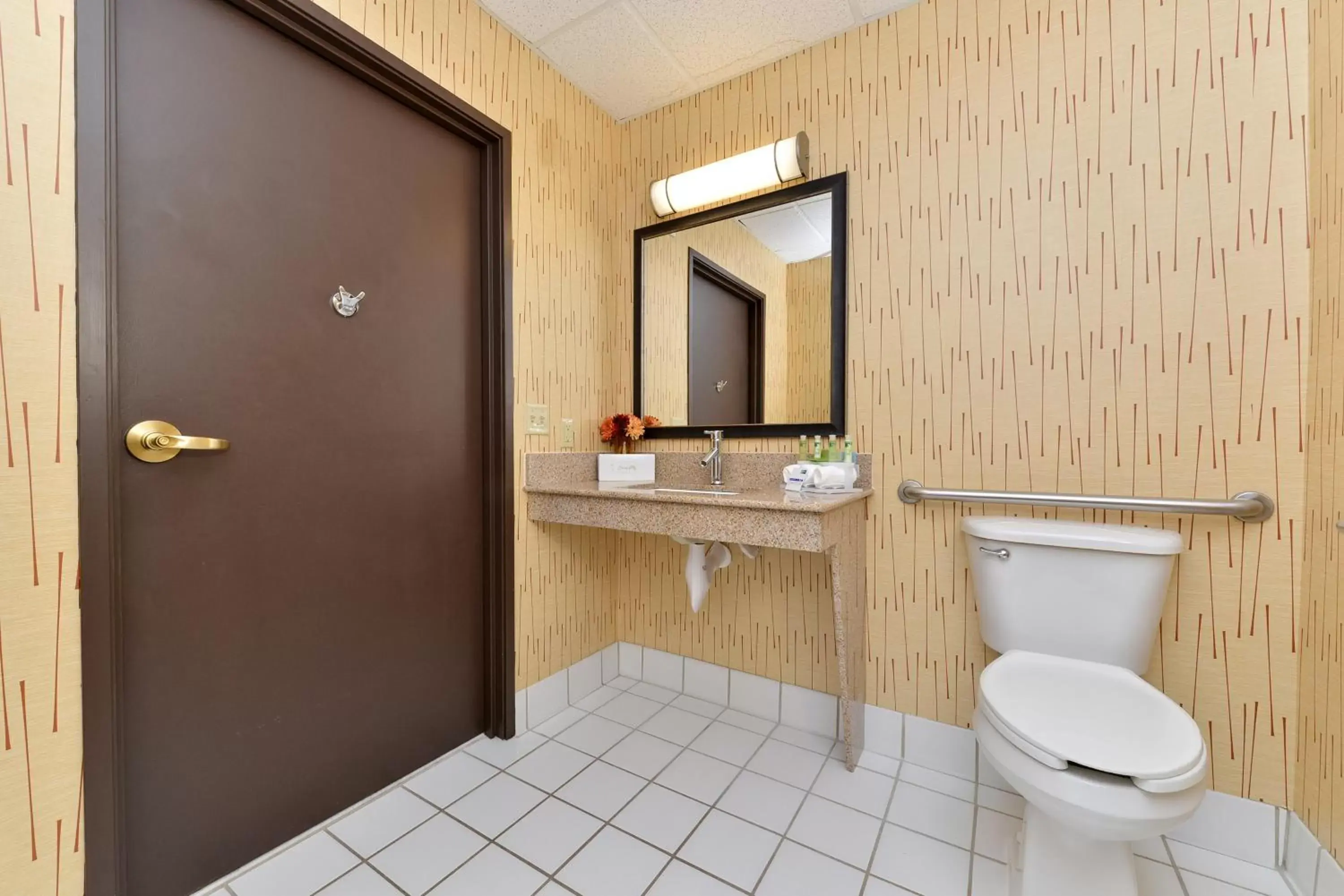 Photo of the whole room, Bathroom in Holiday Inn Express St. Paul South - Inver Grove Heights, an IHG Hotel