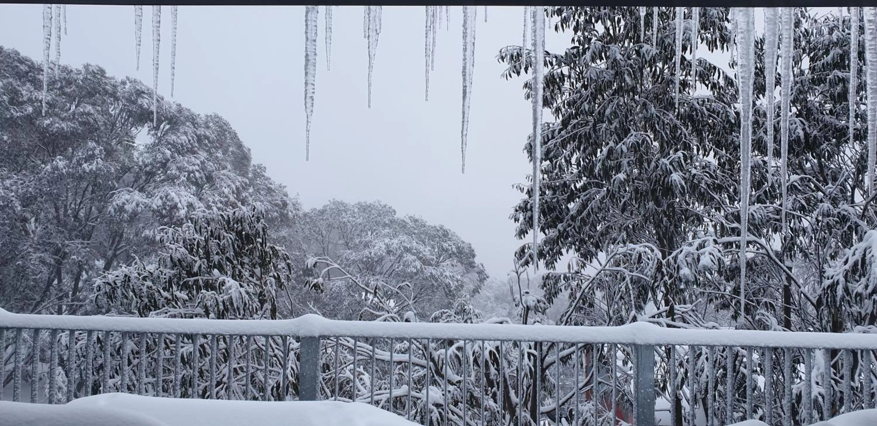 Balcony/Terrace in Cedarwood Apartments