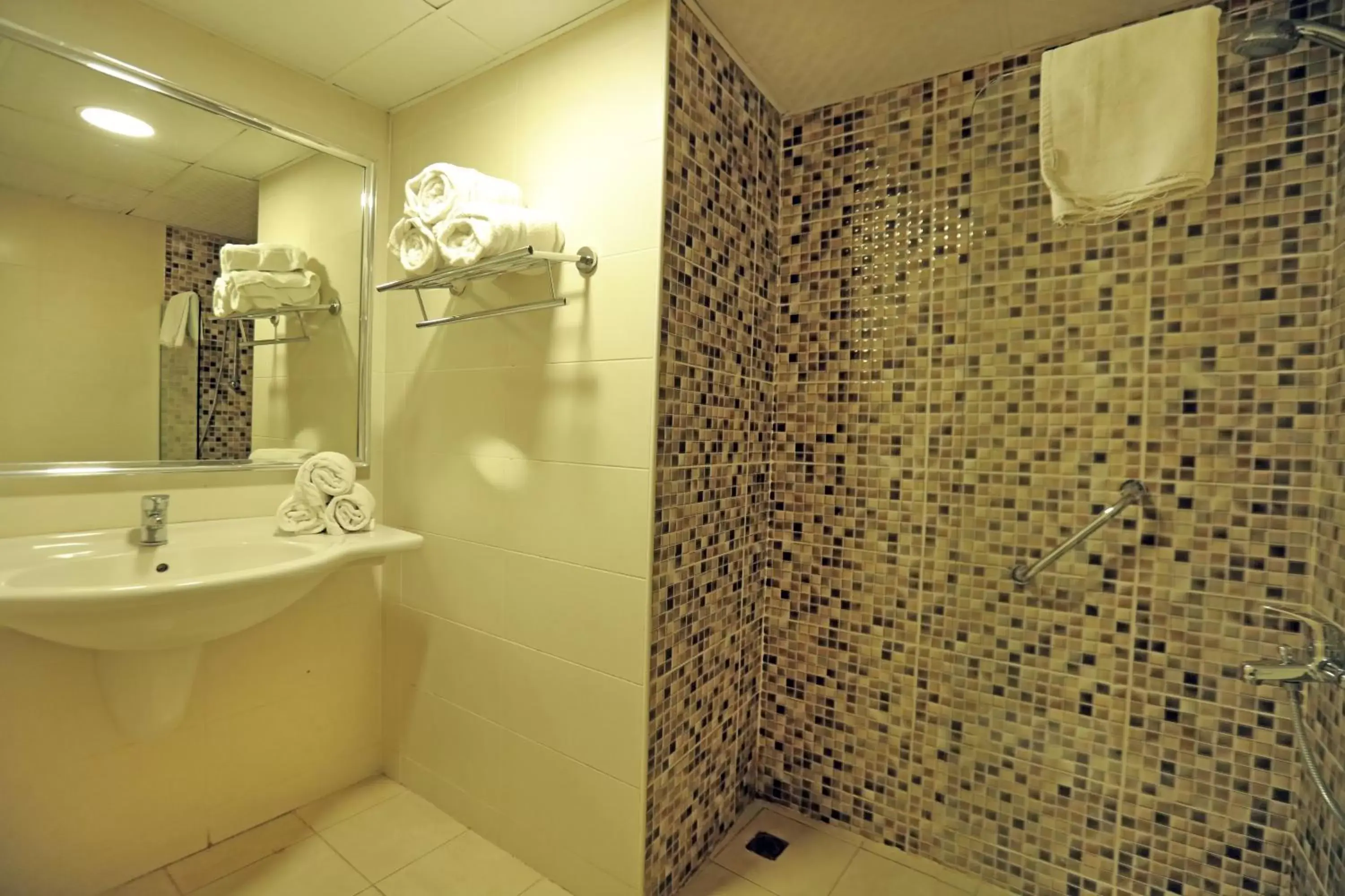Shower, Bathroom in Golden Tulip Aqaba