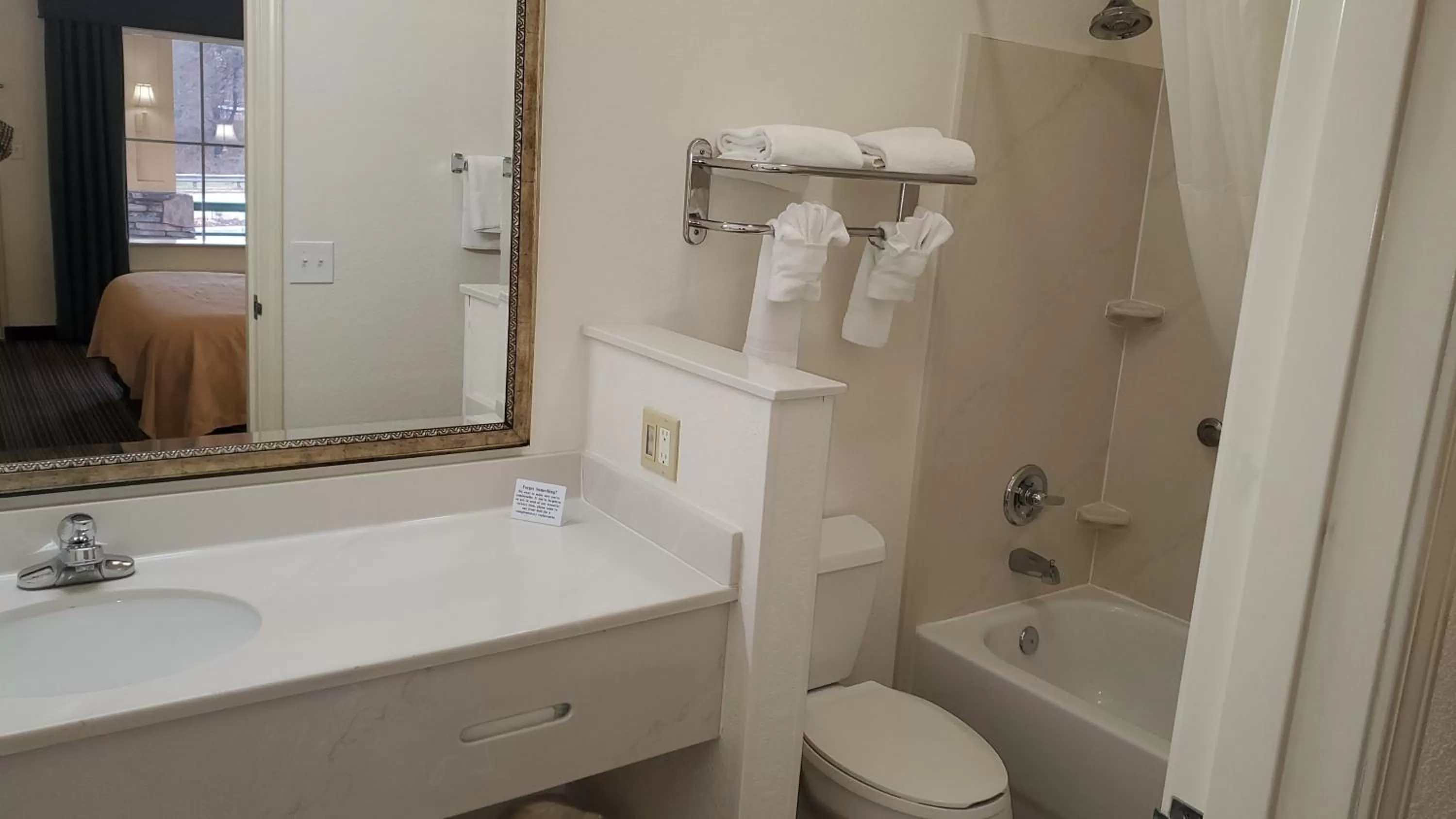 Standard King Room - Non-Smoking  in Quality Inn & Suites Biltmore East