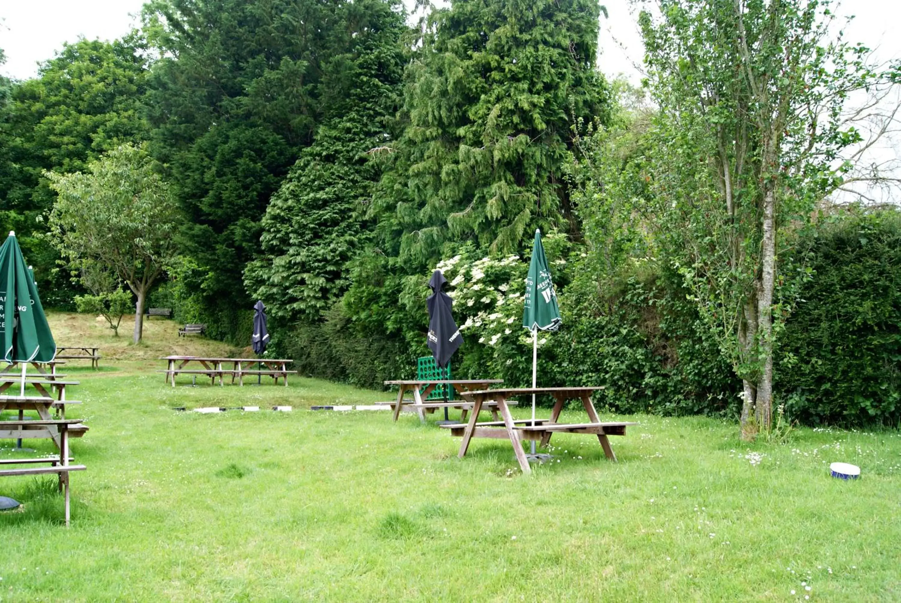 Garden in The Kings Arms Inn