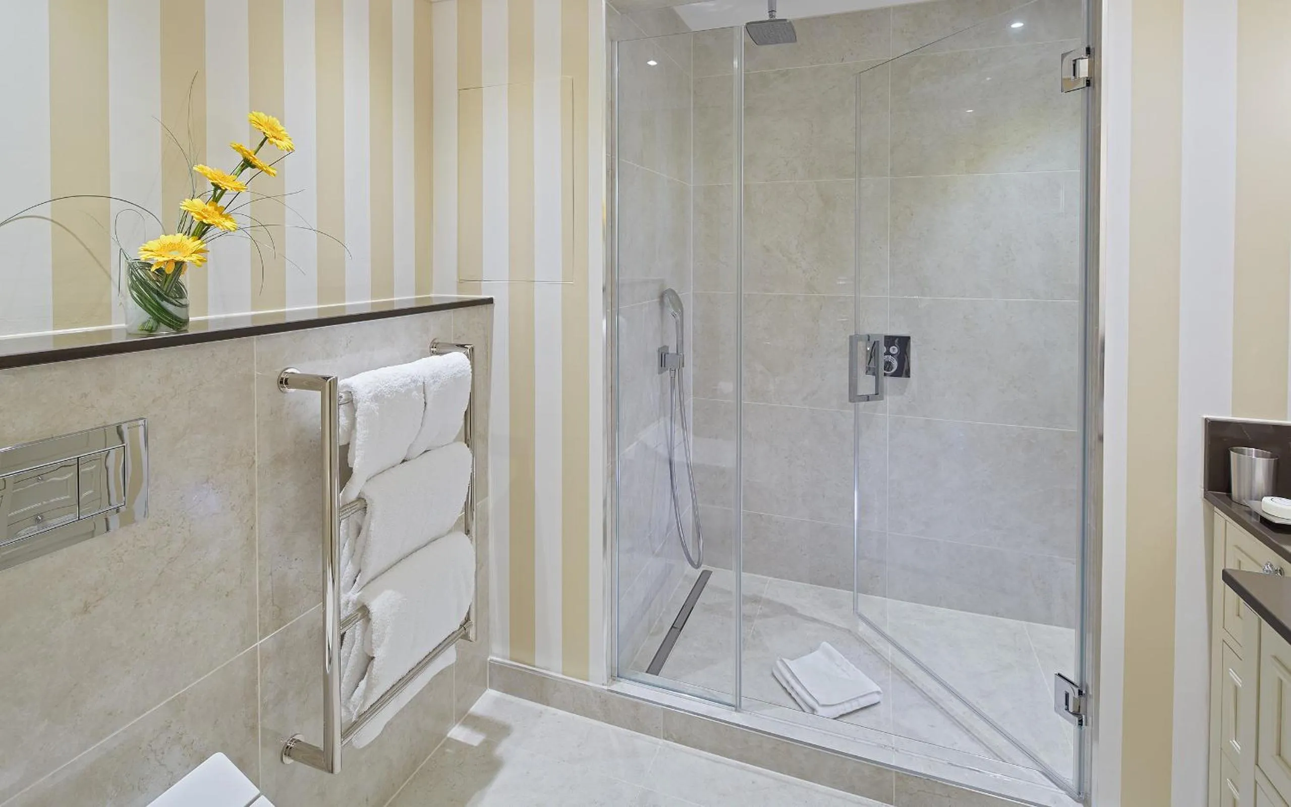 Shower in Cheval Thorney Court at Hyde Park
