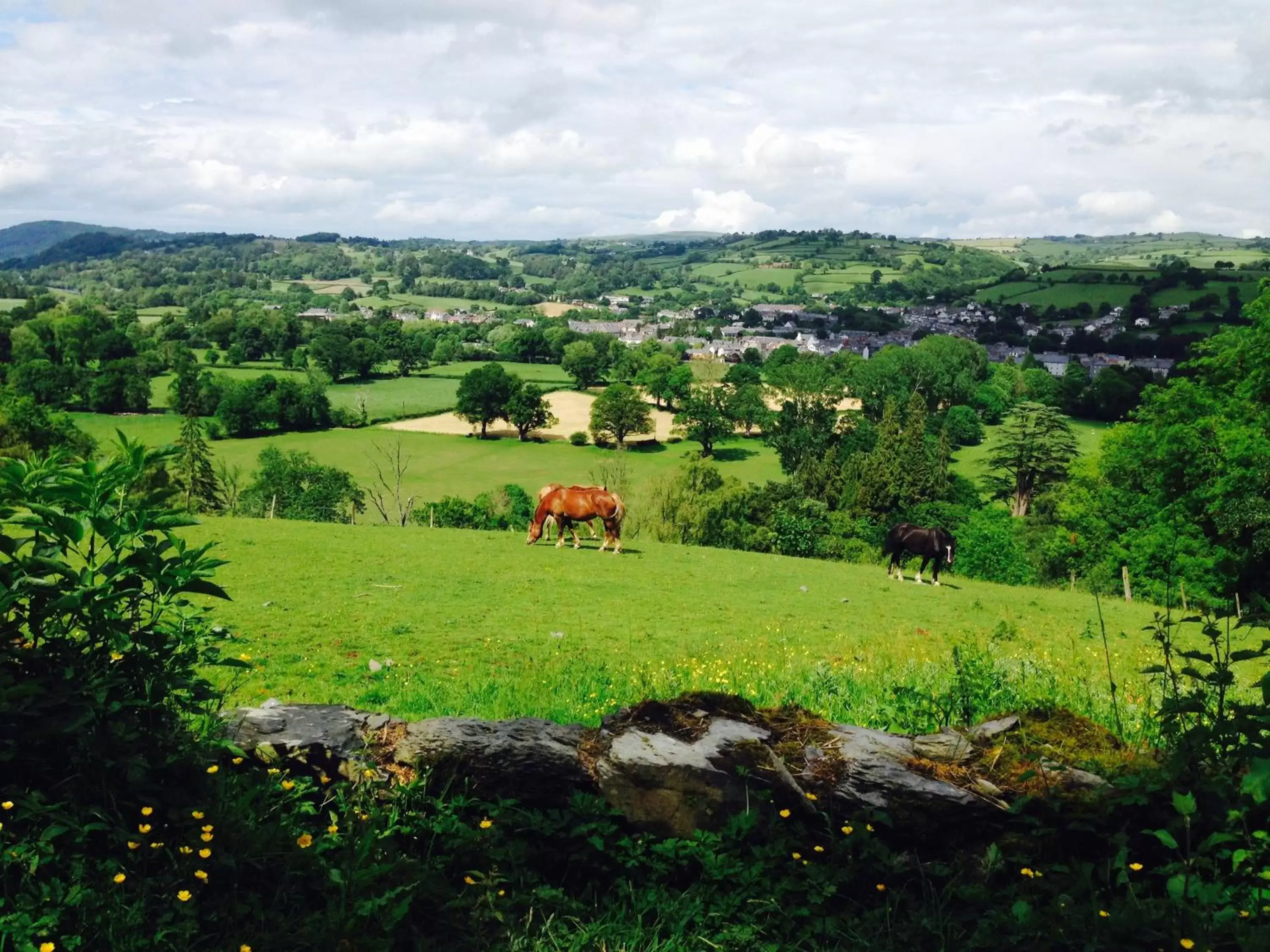 Mountain view in The Eagles Hotel Mountain view in The Eagles Hotel
