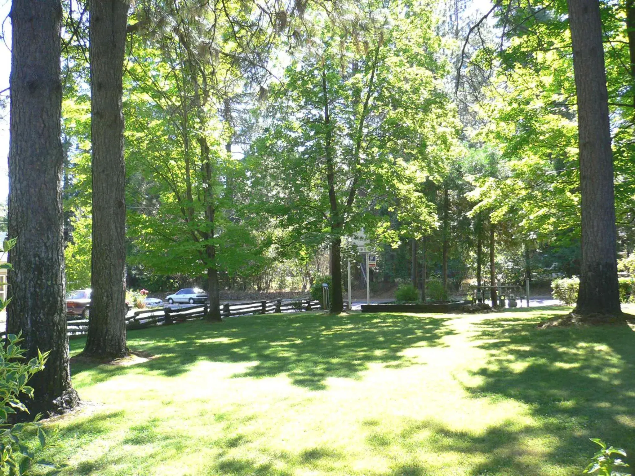 Garden in Nevada City Inn