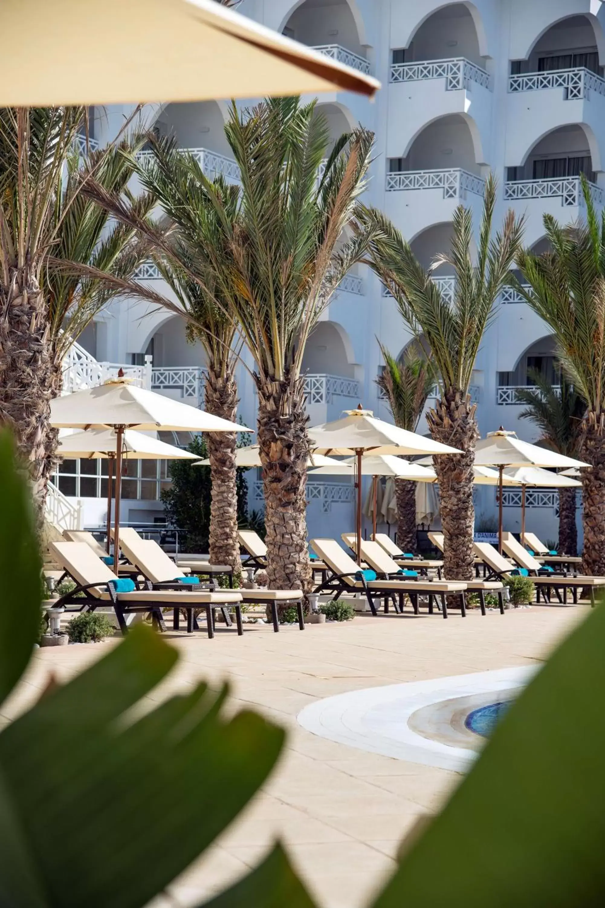 Activities, Swimming Pool in Radisson Blu Resort & Thalasso Hammamet