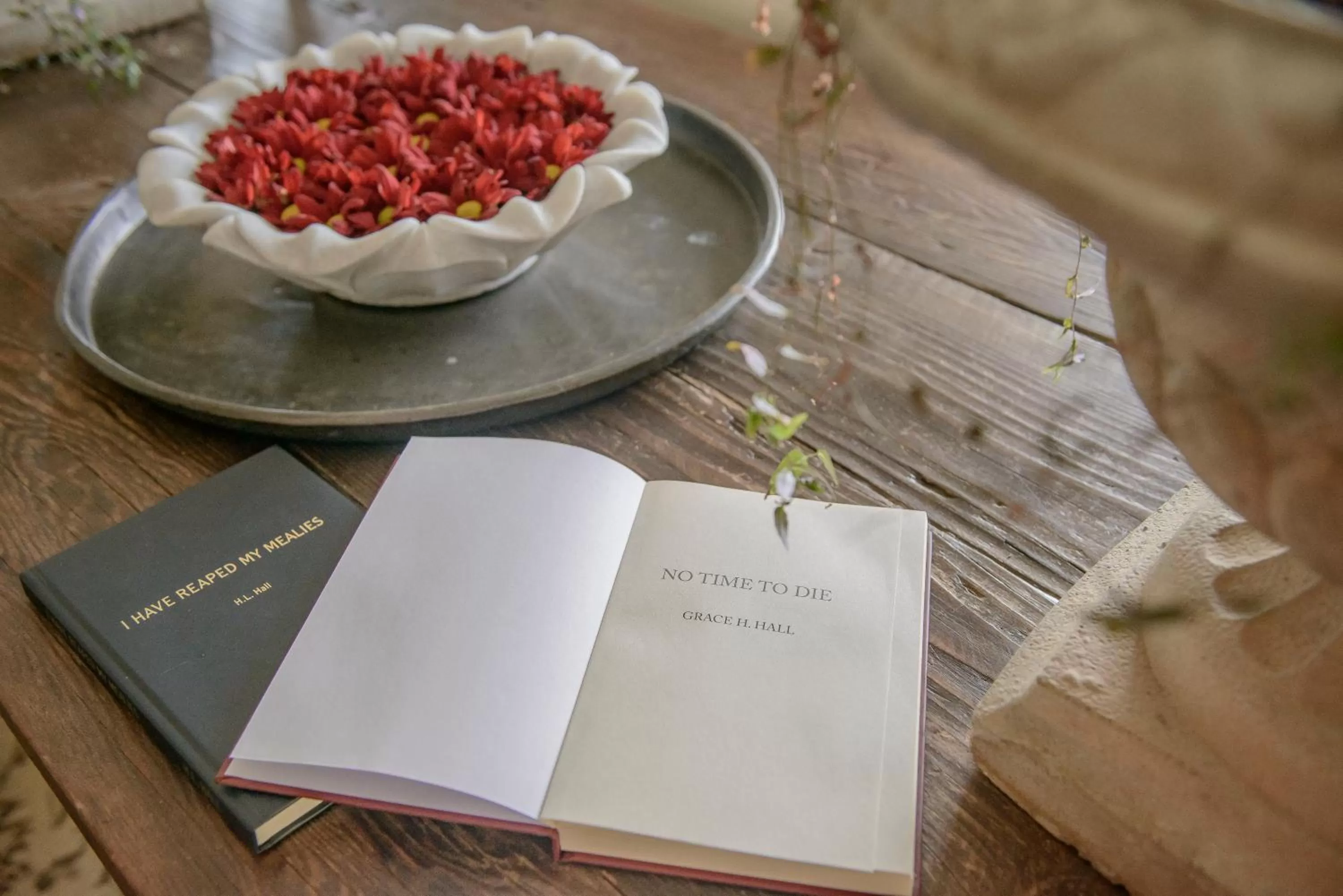 Library in Torburnlea Homestead Luxury Accommodation