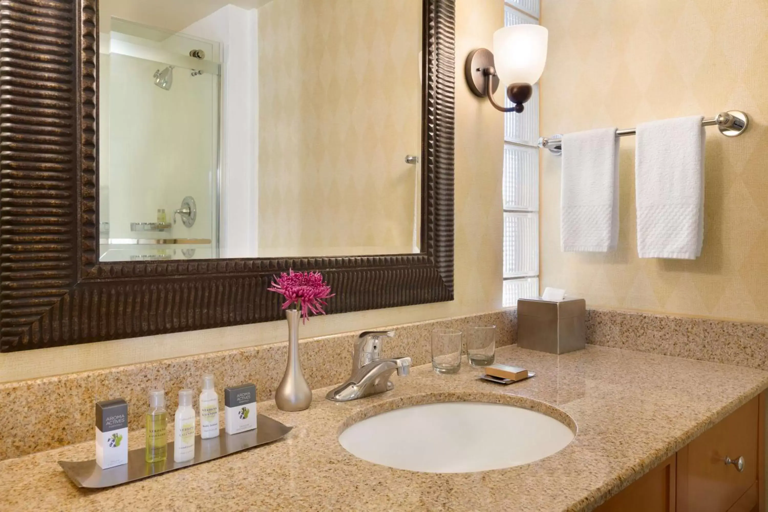 Bathroom in DoubleTree by Hilton Paradise Valley Resort Scottsdale