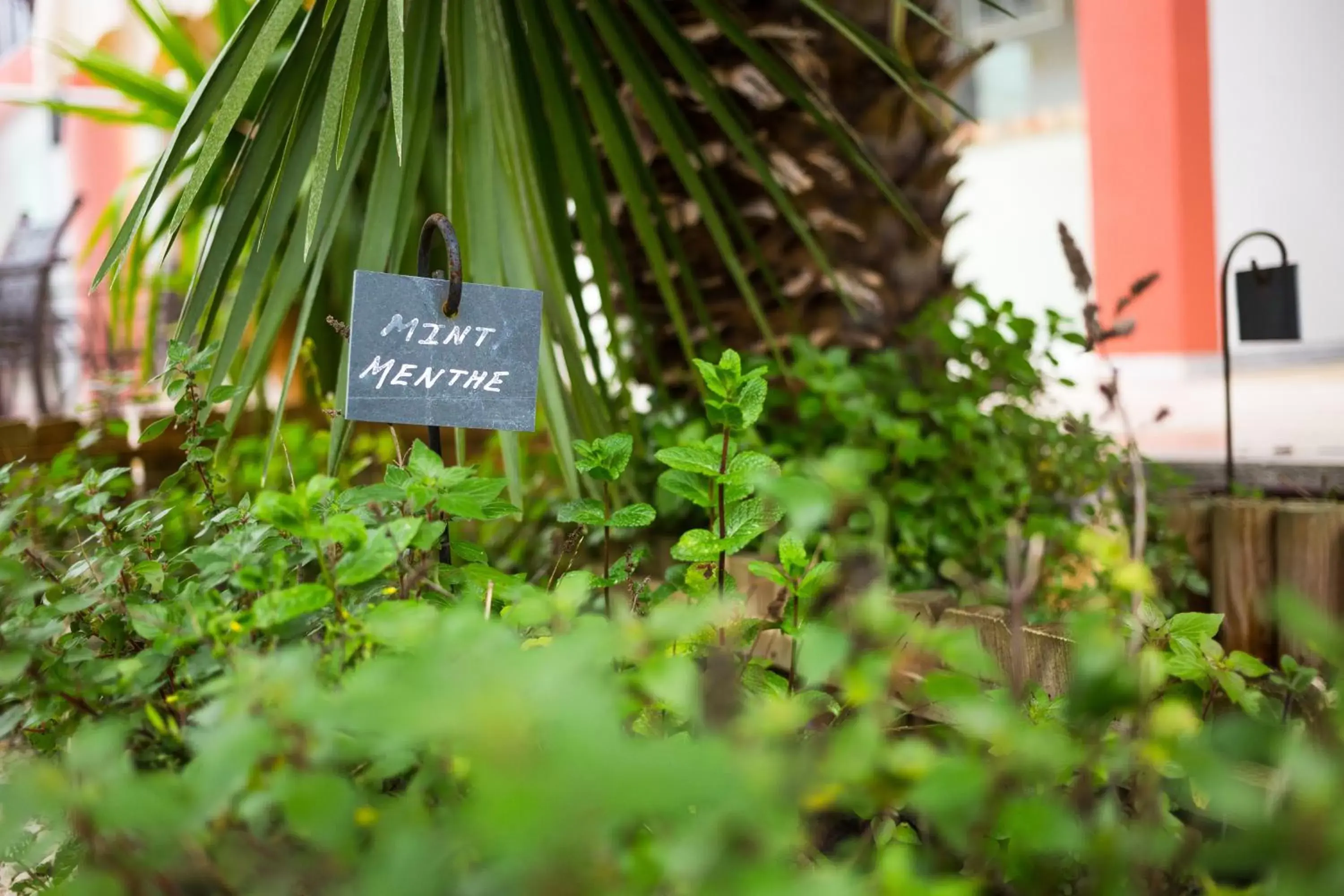 Garden in Le Club Mougins