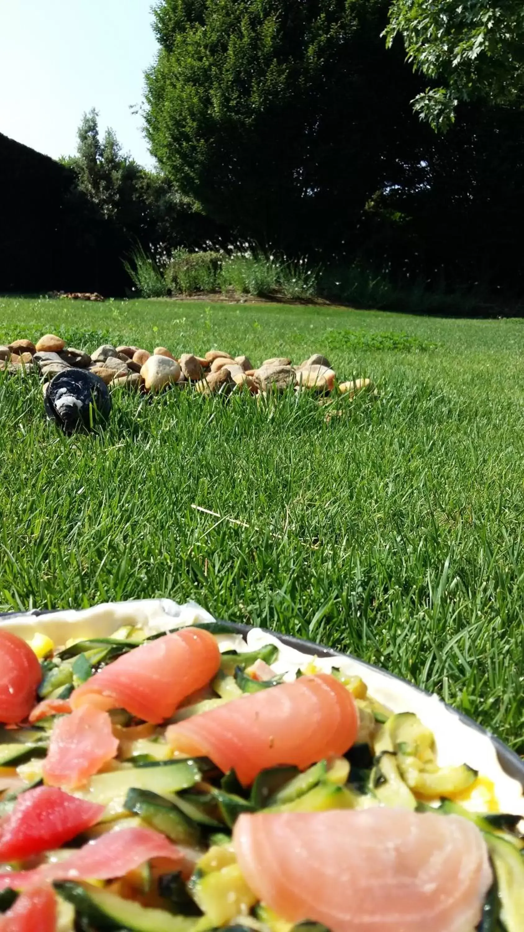 Garden, Other Animals in La Casa di Linda