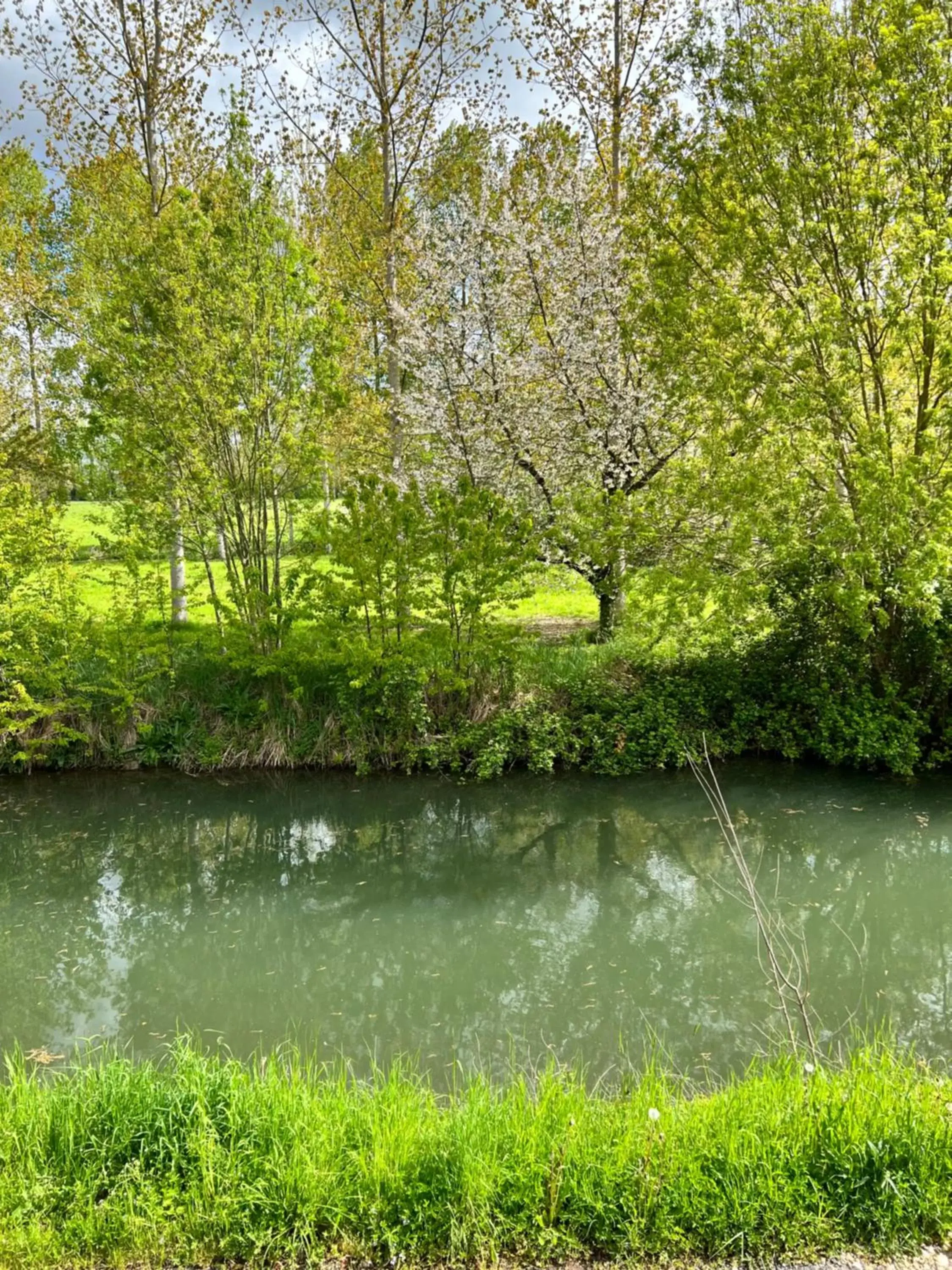 Natural landscape in Relais de la Venise verte