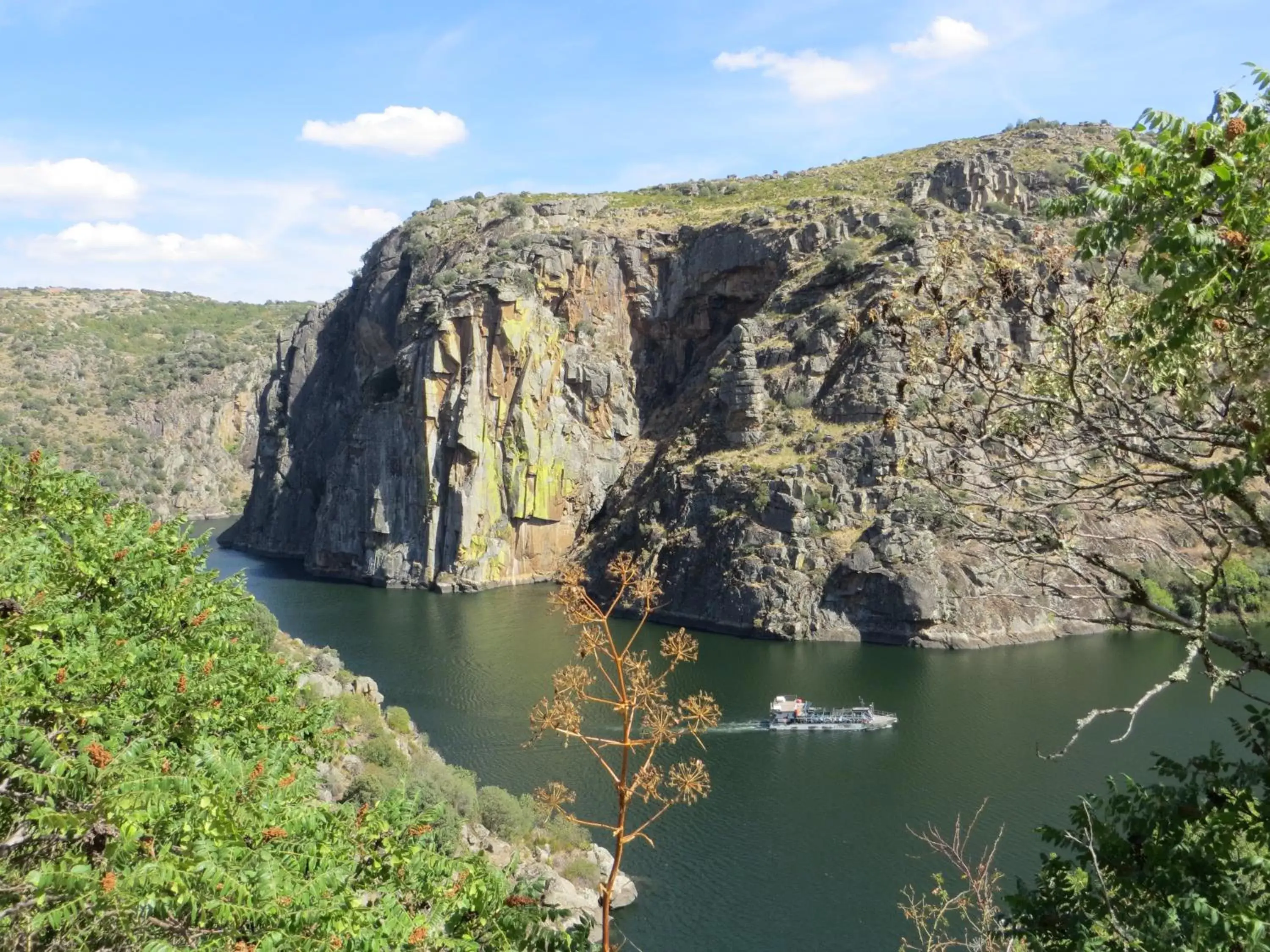 Natural Landscape in Camping Lamego Douro Valley