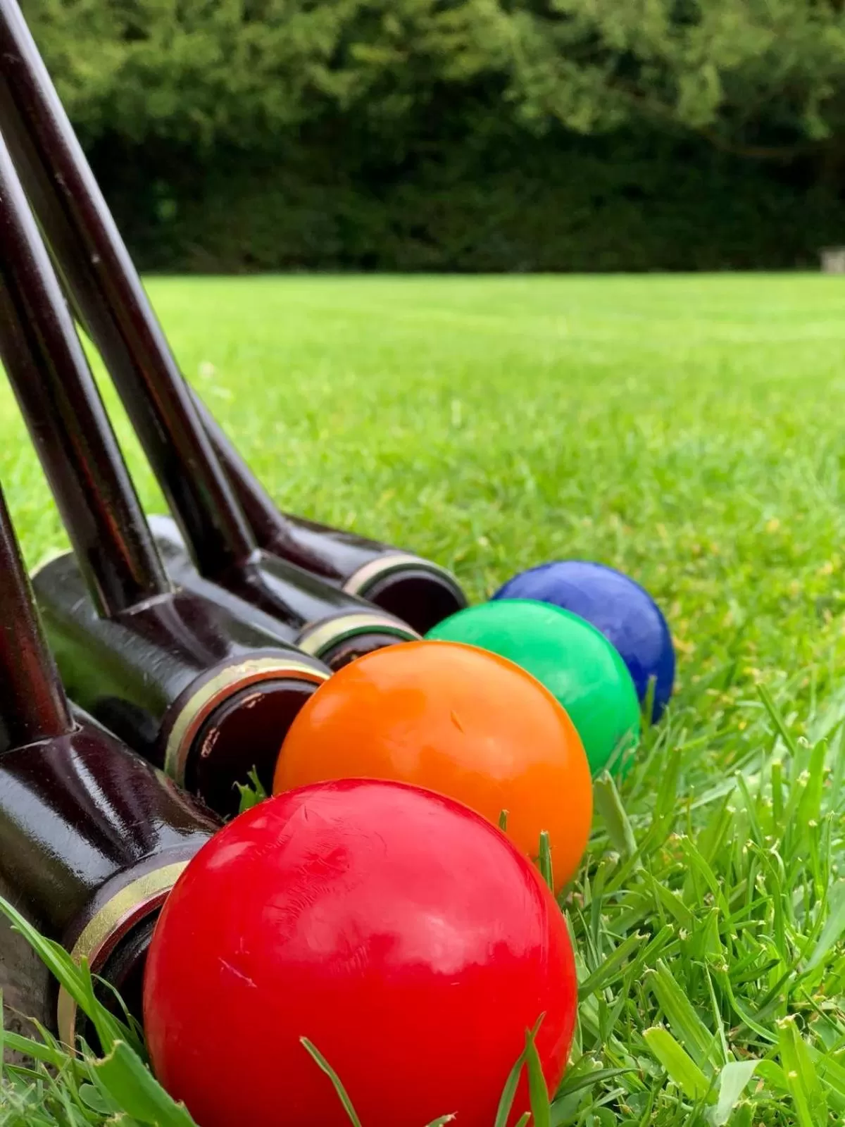 Entertainment in Bosworth Hall Hotel