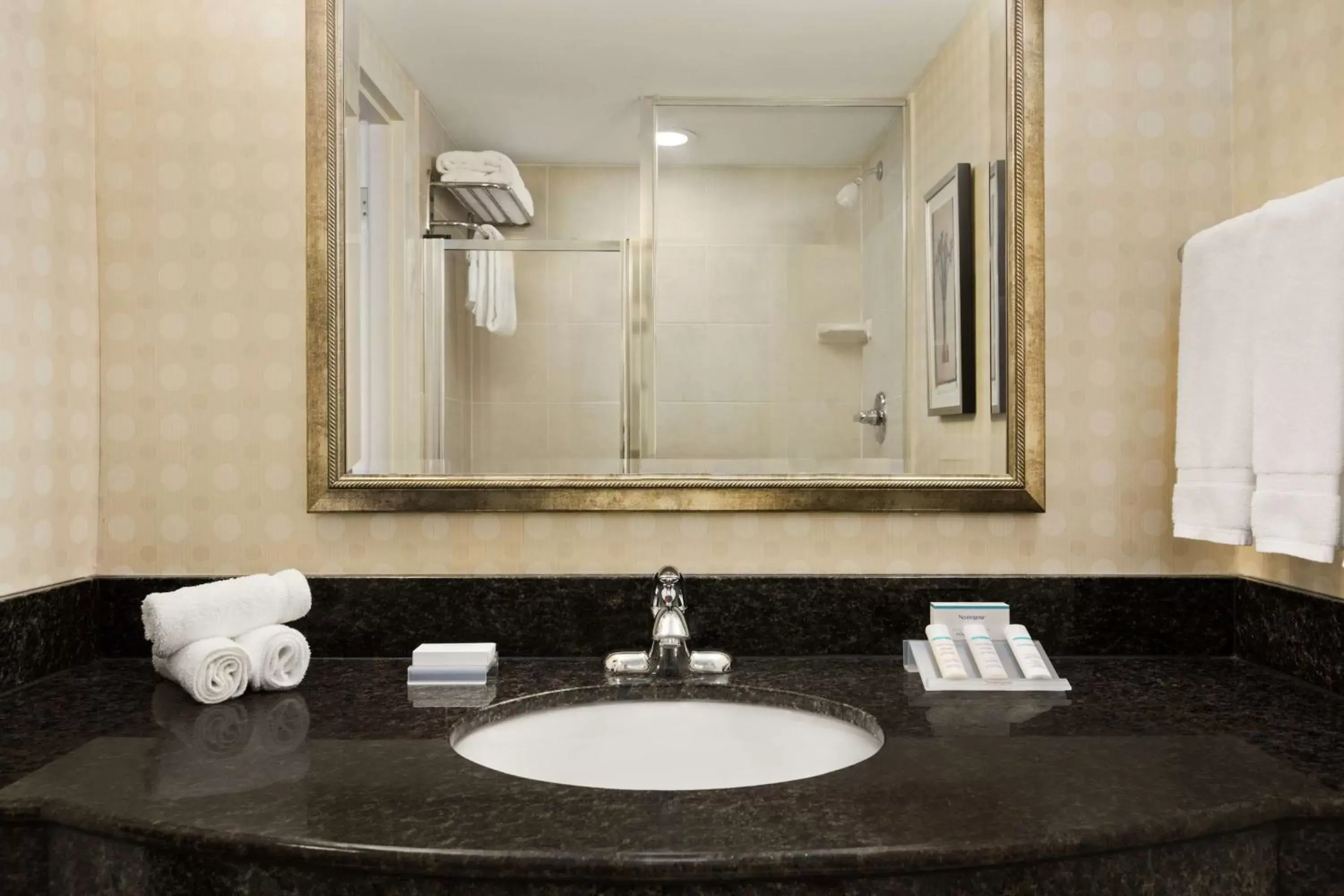 Bathroom in Hilton Garden Inn Toronto/Vaughan