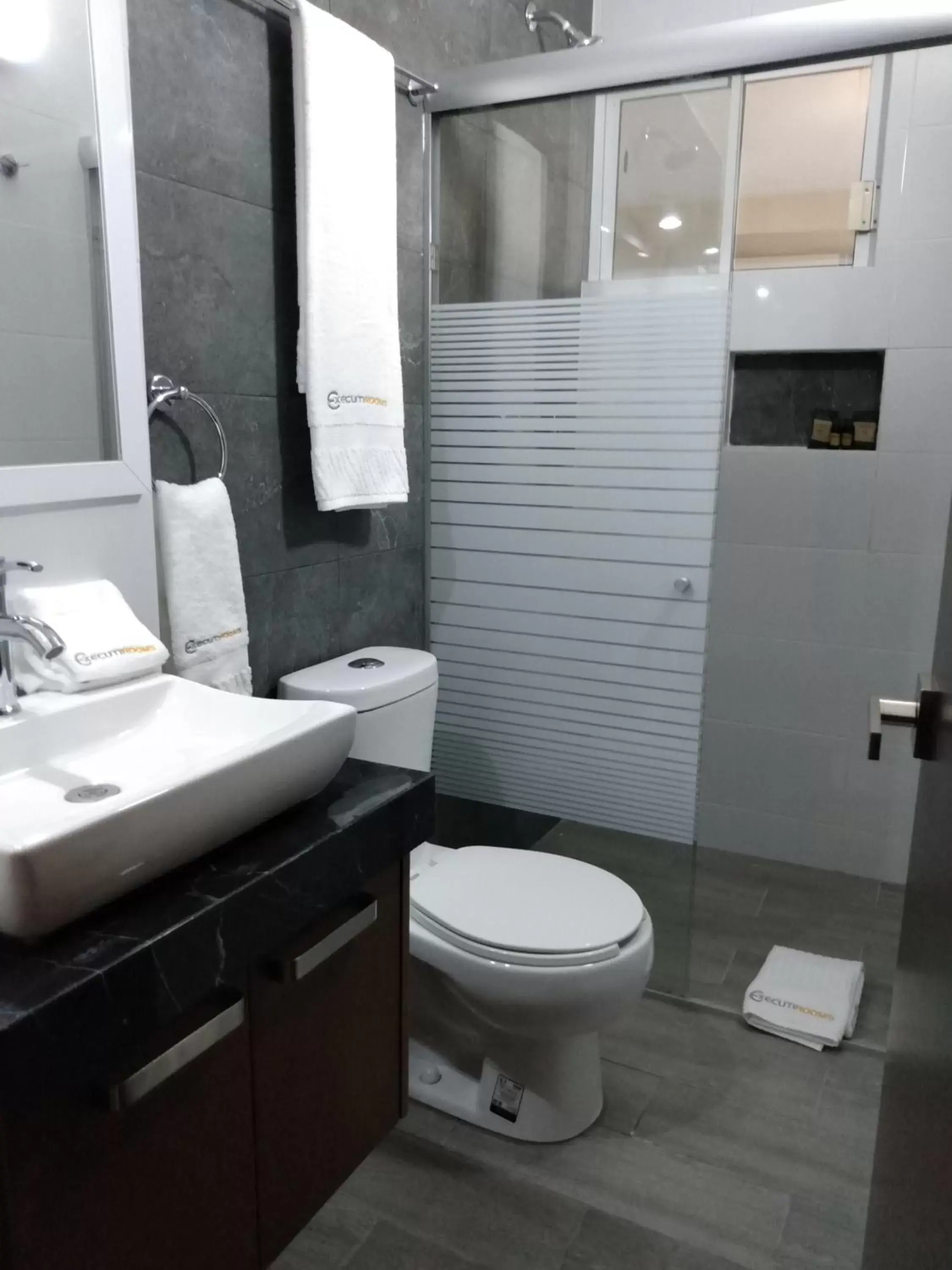 Toilet, Bathroom in EXECUTIROOMS VERACRUZ