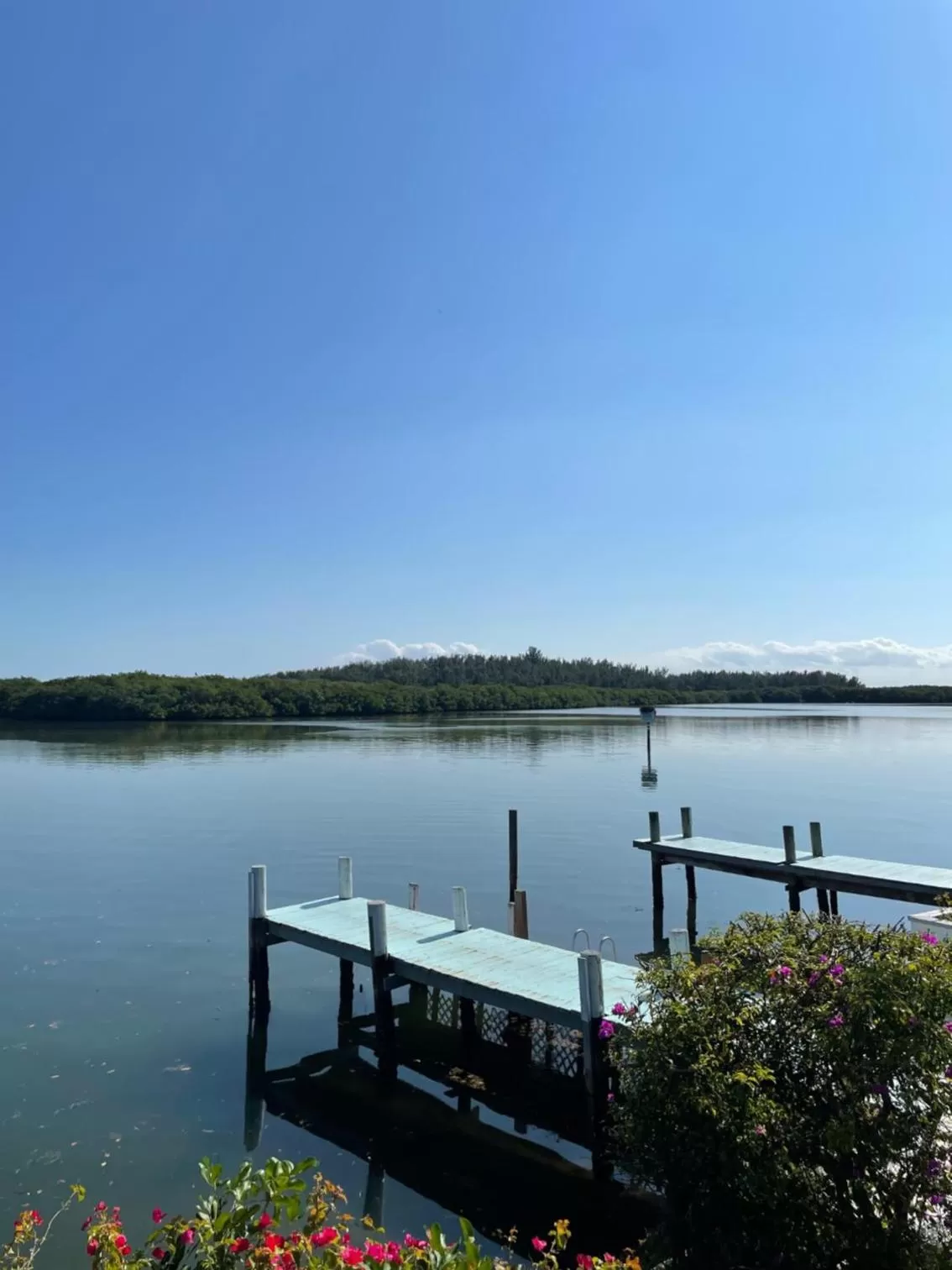 Natural landscape in Turtle Beach Resort