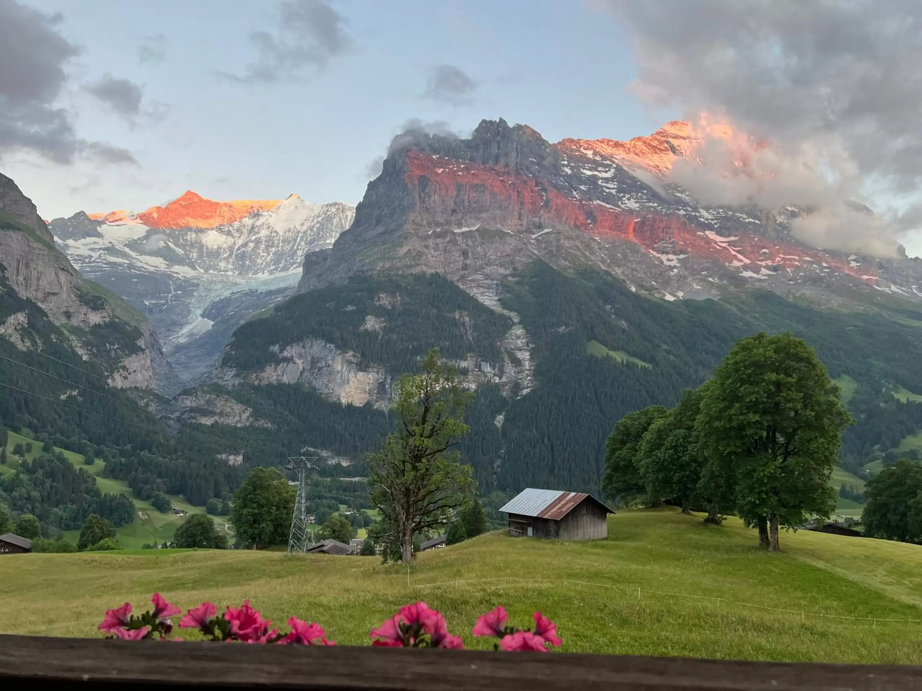 View (from property/room), Mountain View in Hotel Bodmi