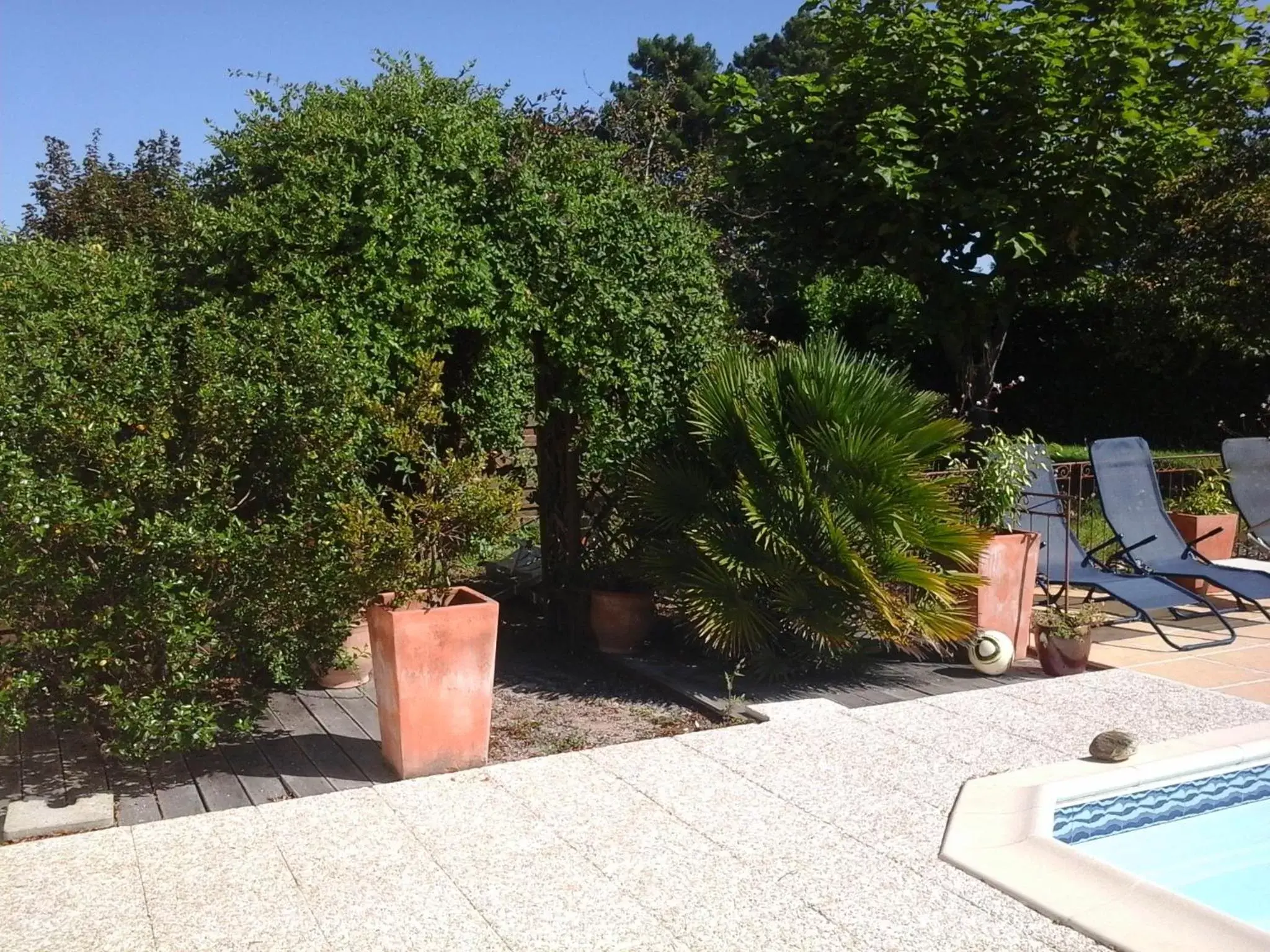 Garden, Swimming Pool in Chambres d'Hotes des Ecureuils