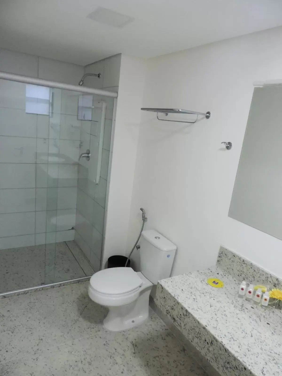 Shower, Bathroom in Comfort Hotel Maceió