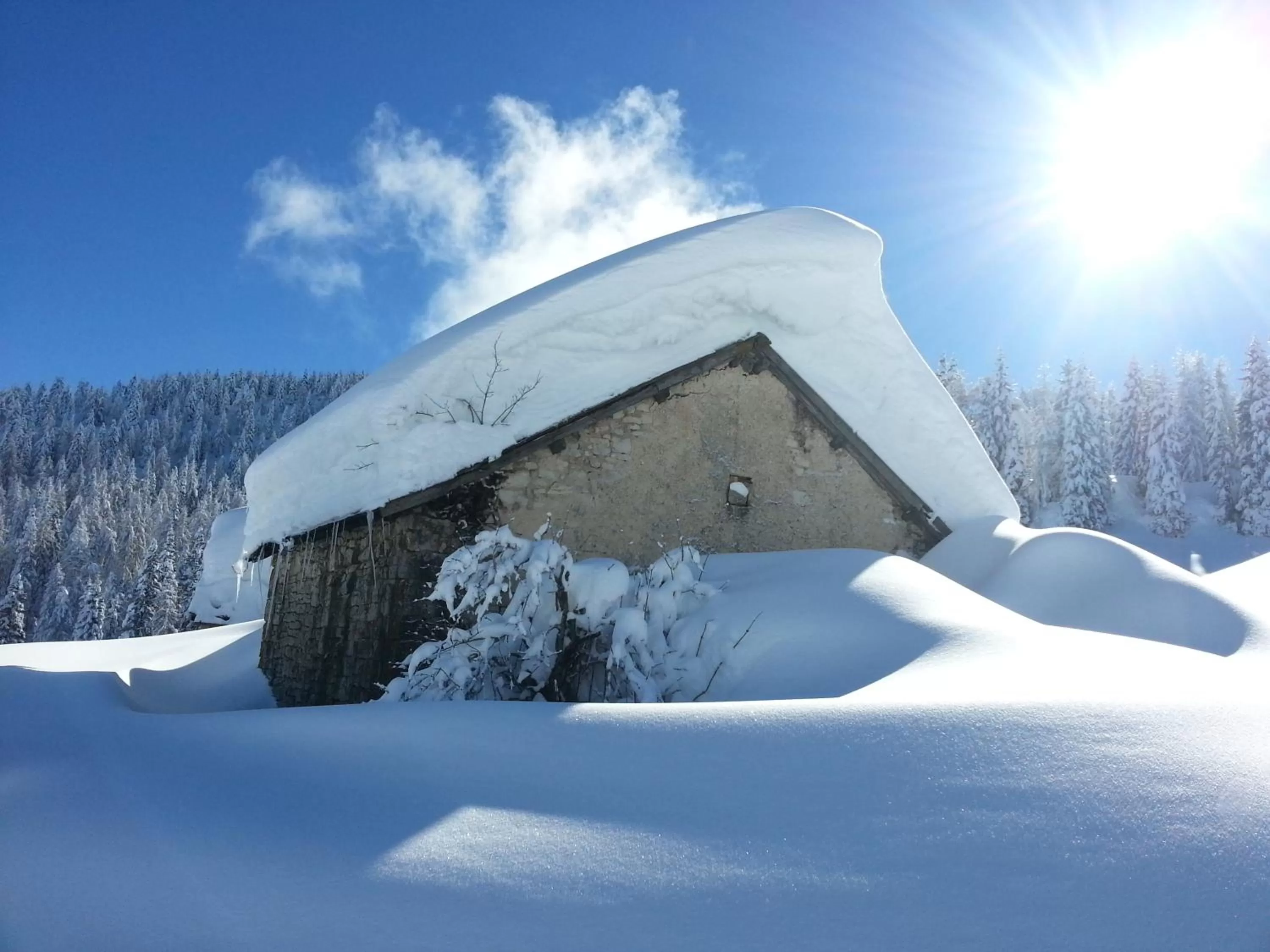 Alaska Clubresidence