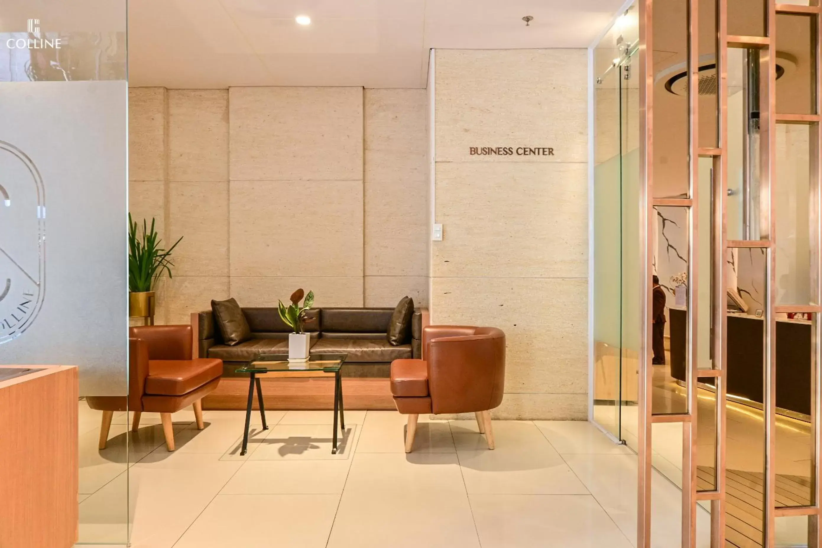 Business facilities, Lobby/Reception in Hôtel Colline