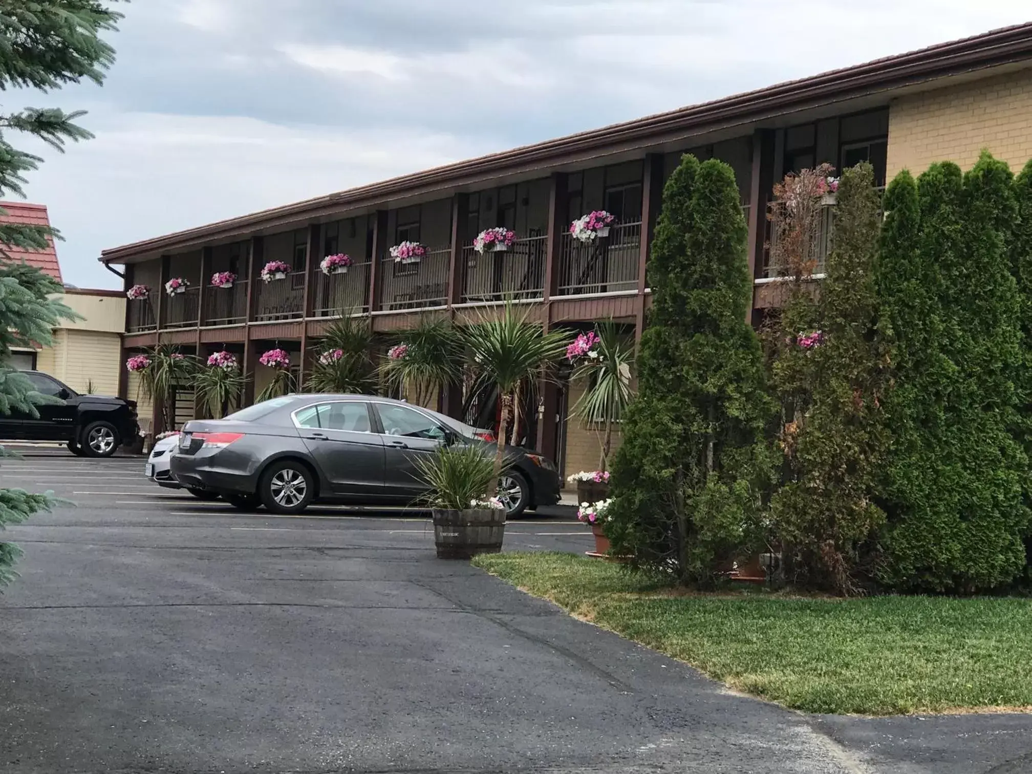 Garden, Property Building in Country Inn Listowel