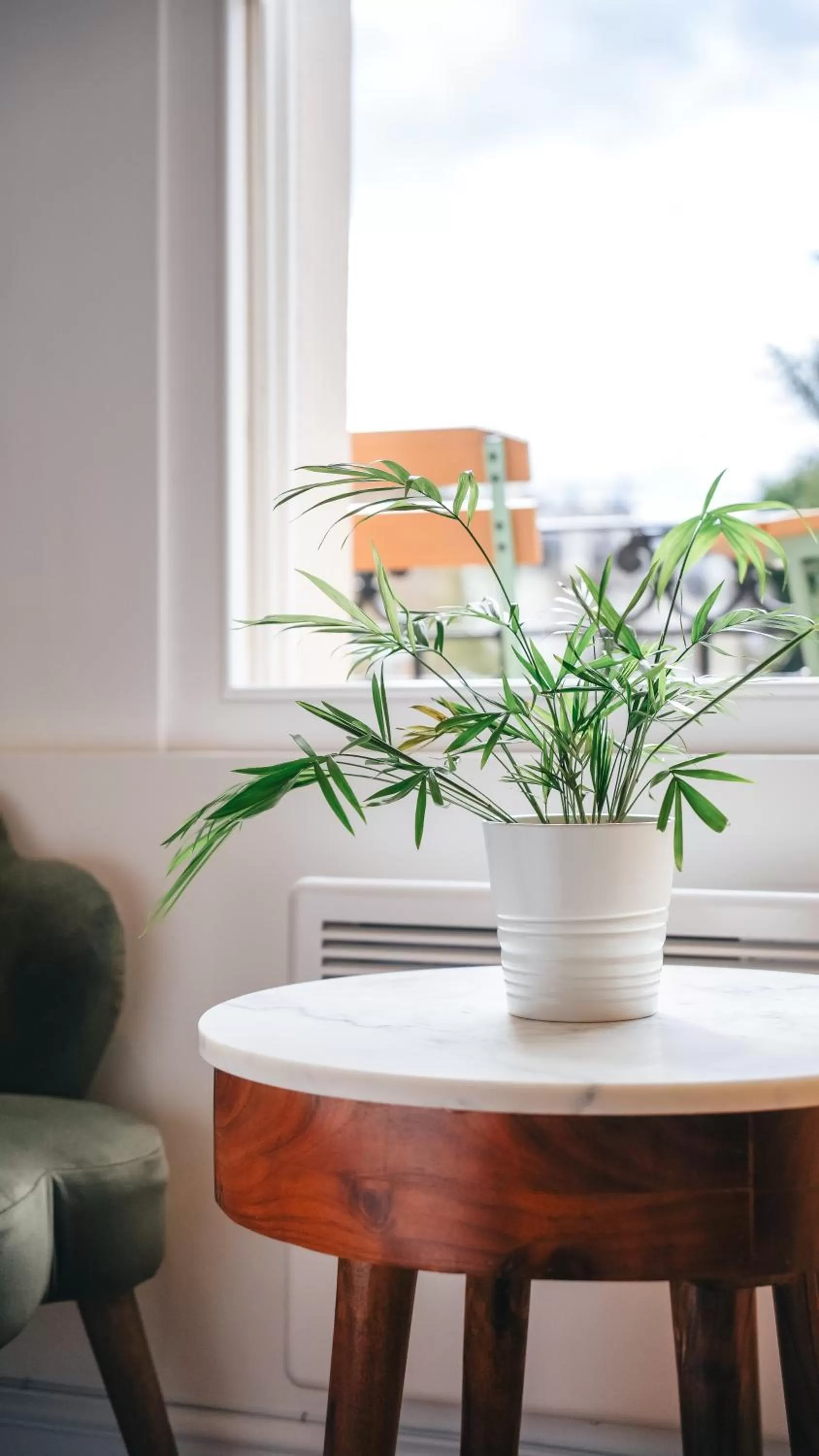 The Avonmore Olympia