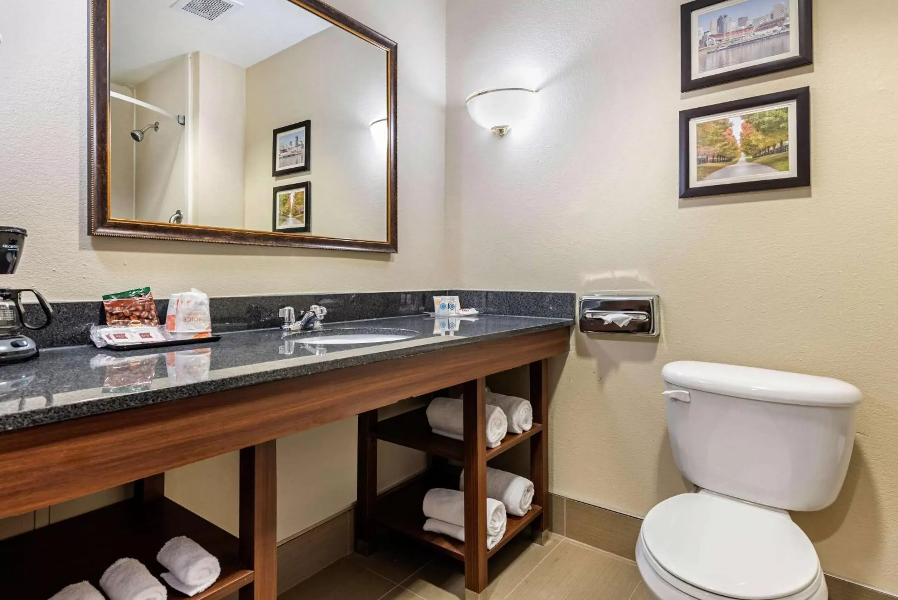 Photo of the whole room, Bathroom in Comfort Suites Cincinnati Airport